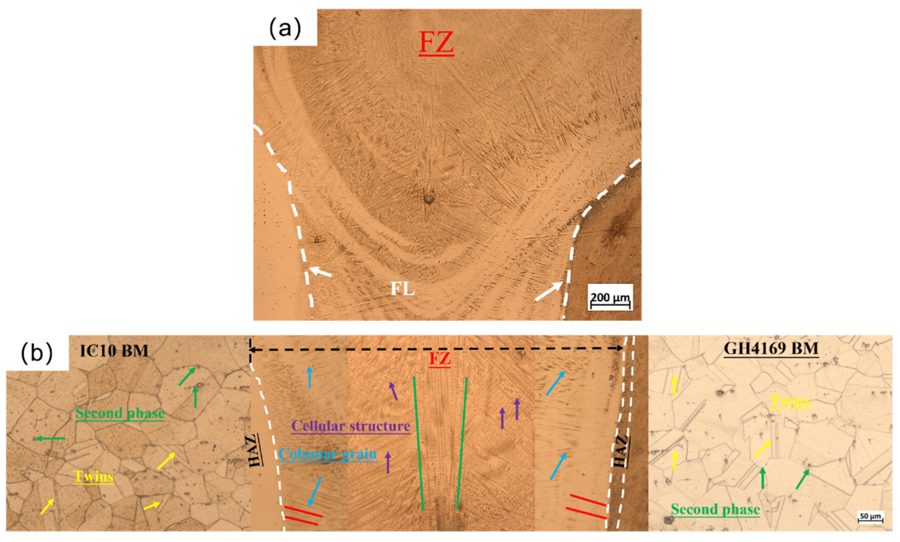 Metals 14 00348 g005