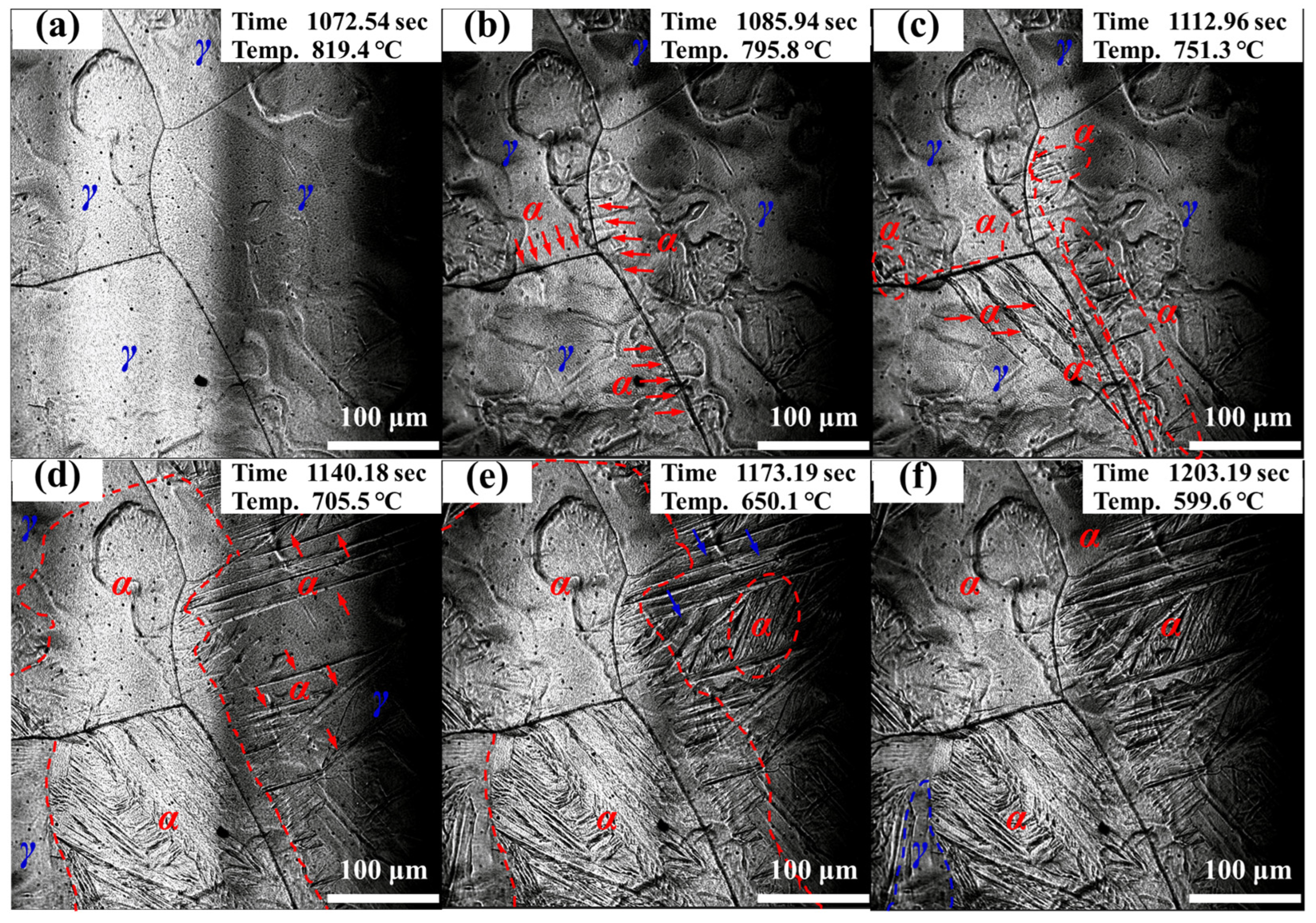 Metals 14 00350 g003