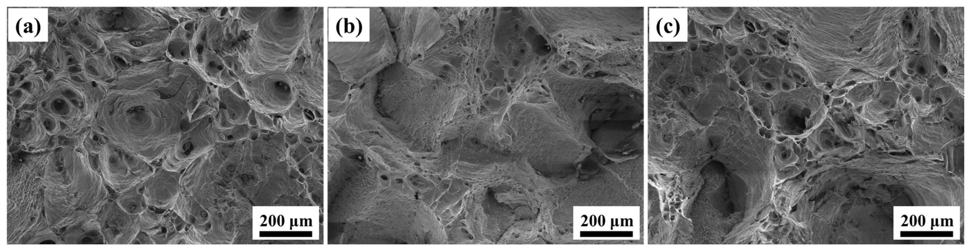 Metals 14 00350 g009