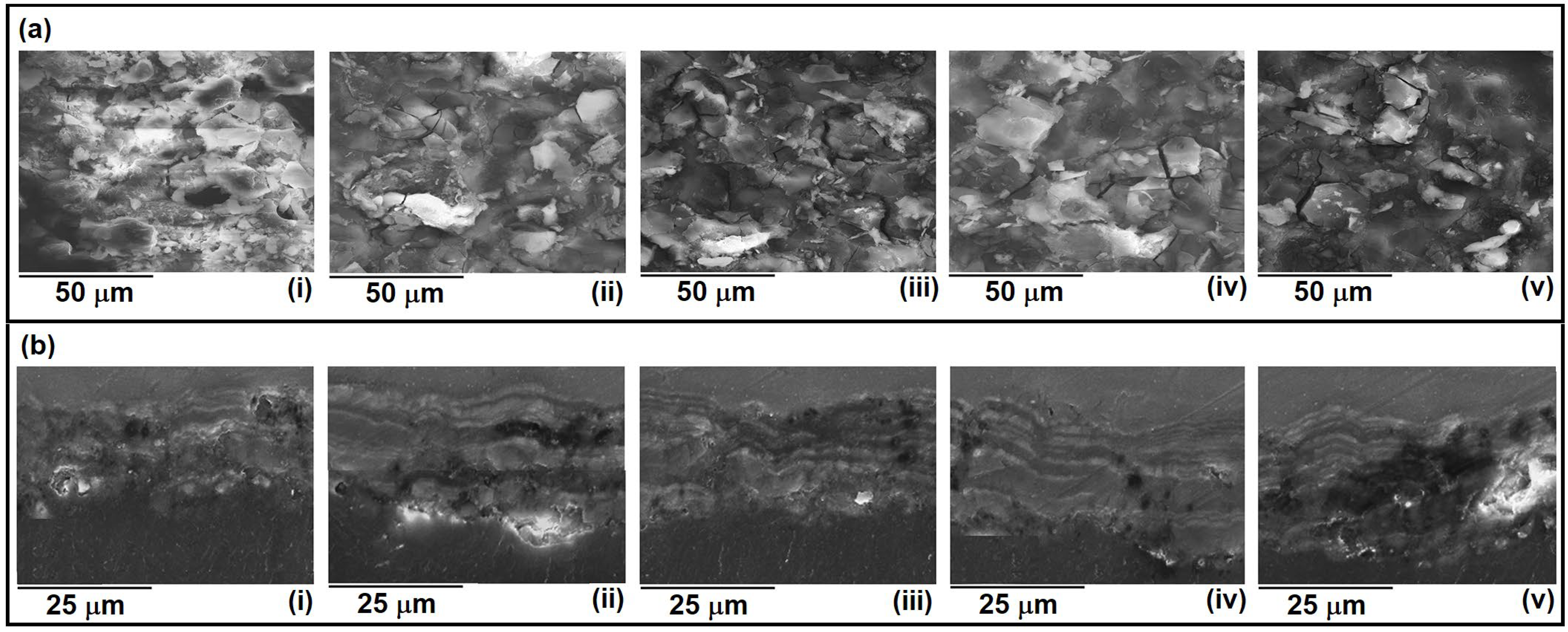 Metals 14 00366 g002