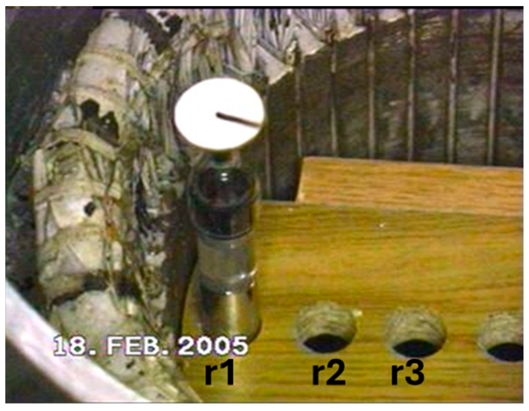 Metals 14 00368 g003