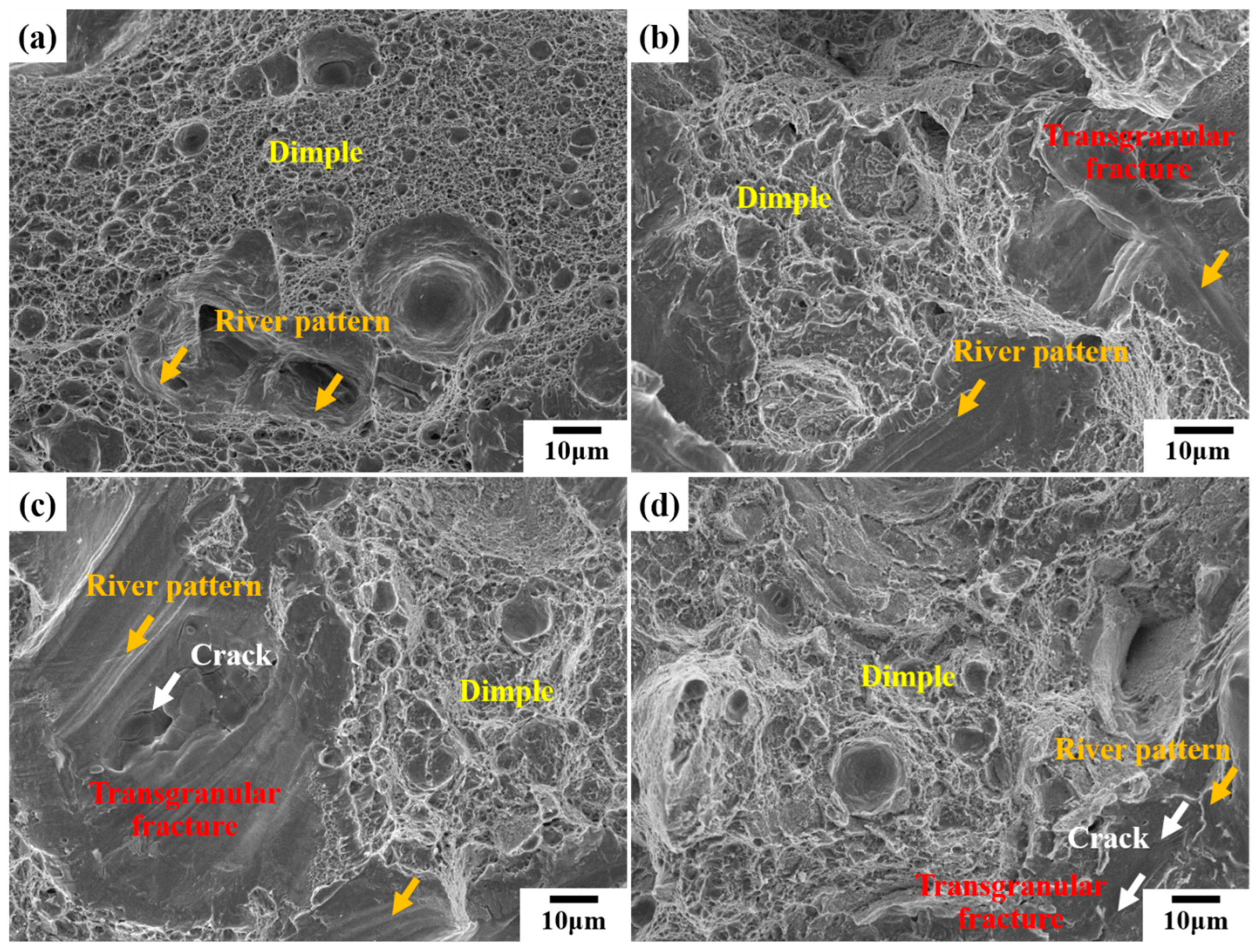 Metals 14 00375 g006