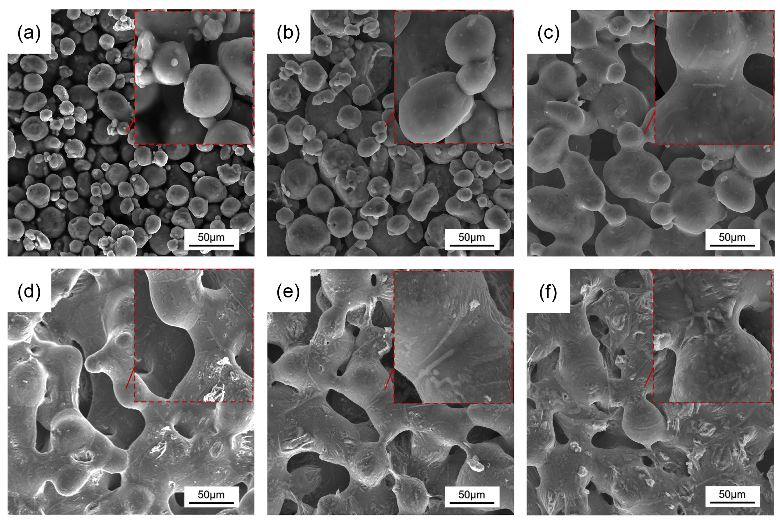 Metals 14 00386 g006