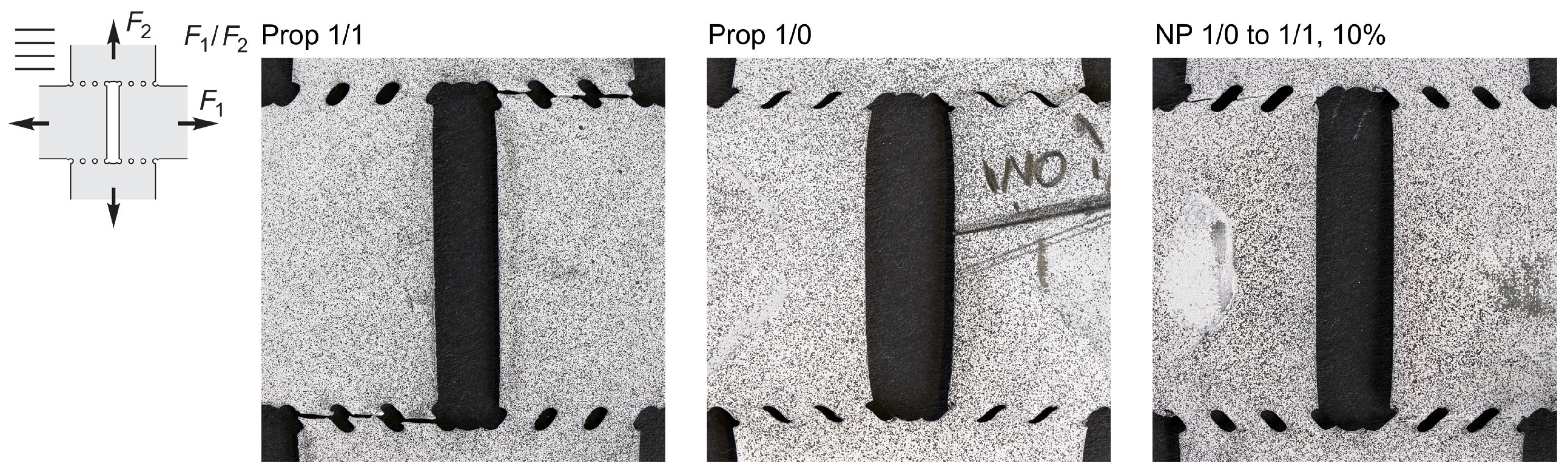 Metals 14 00397 g012