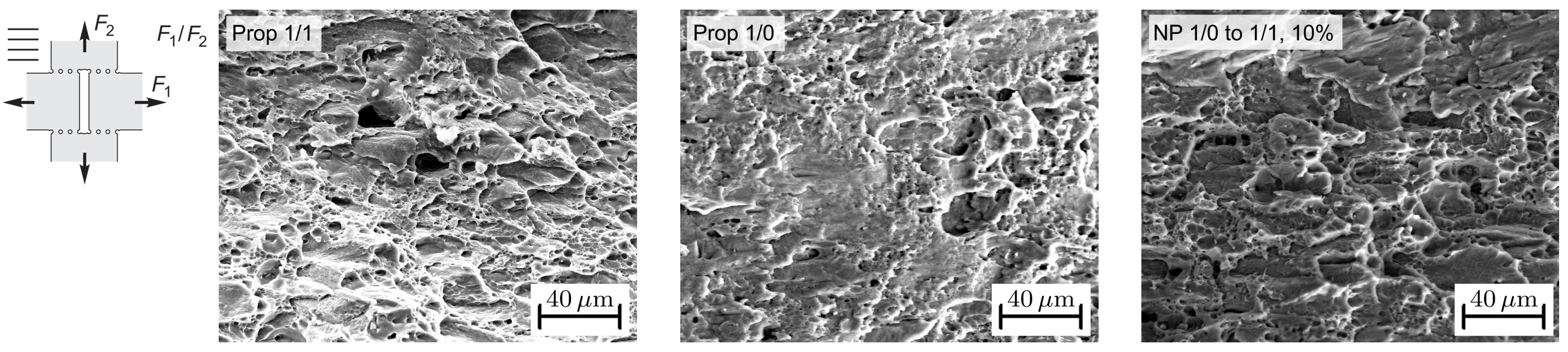 Metals 14 00397 g015