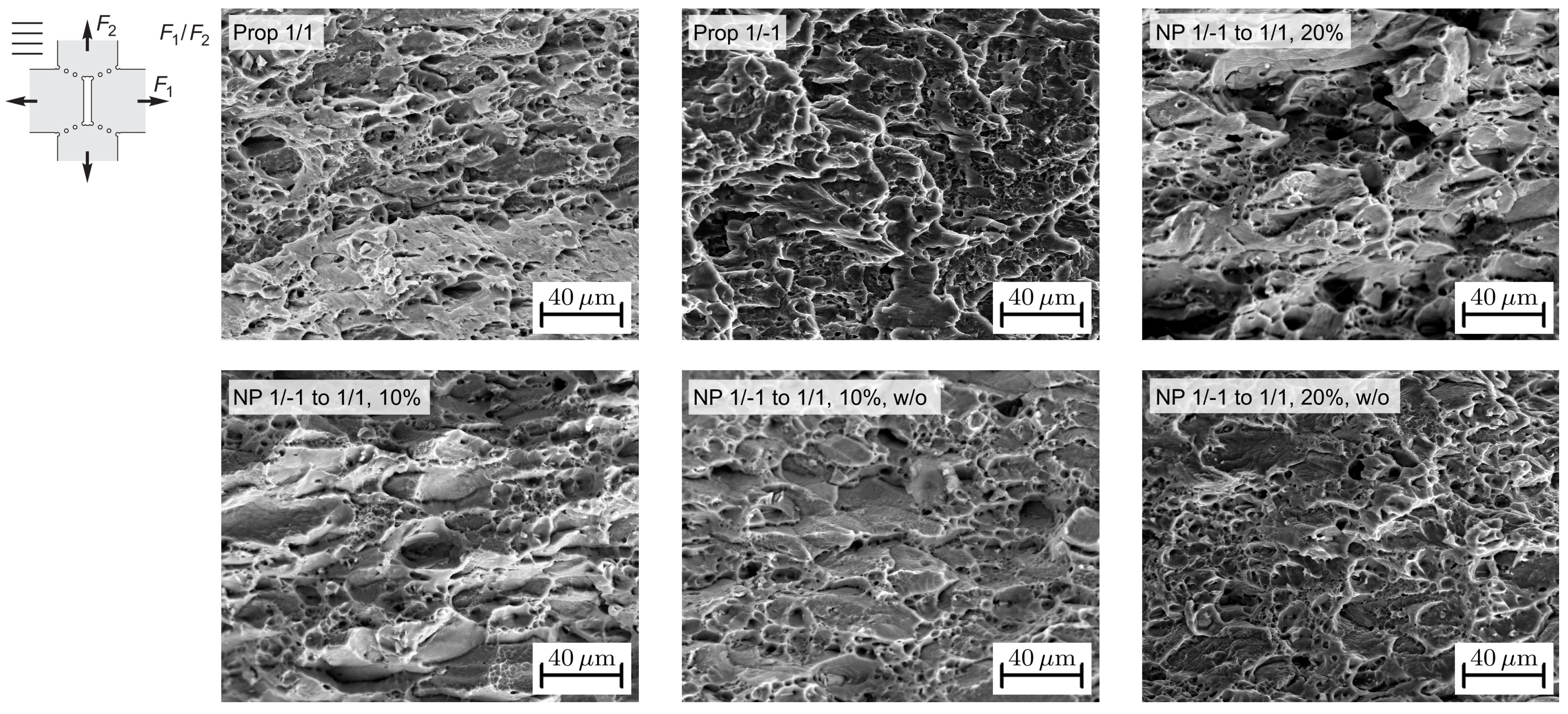 Metals 14 00397 g016