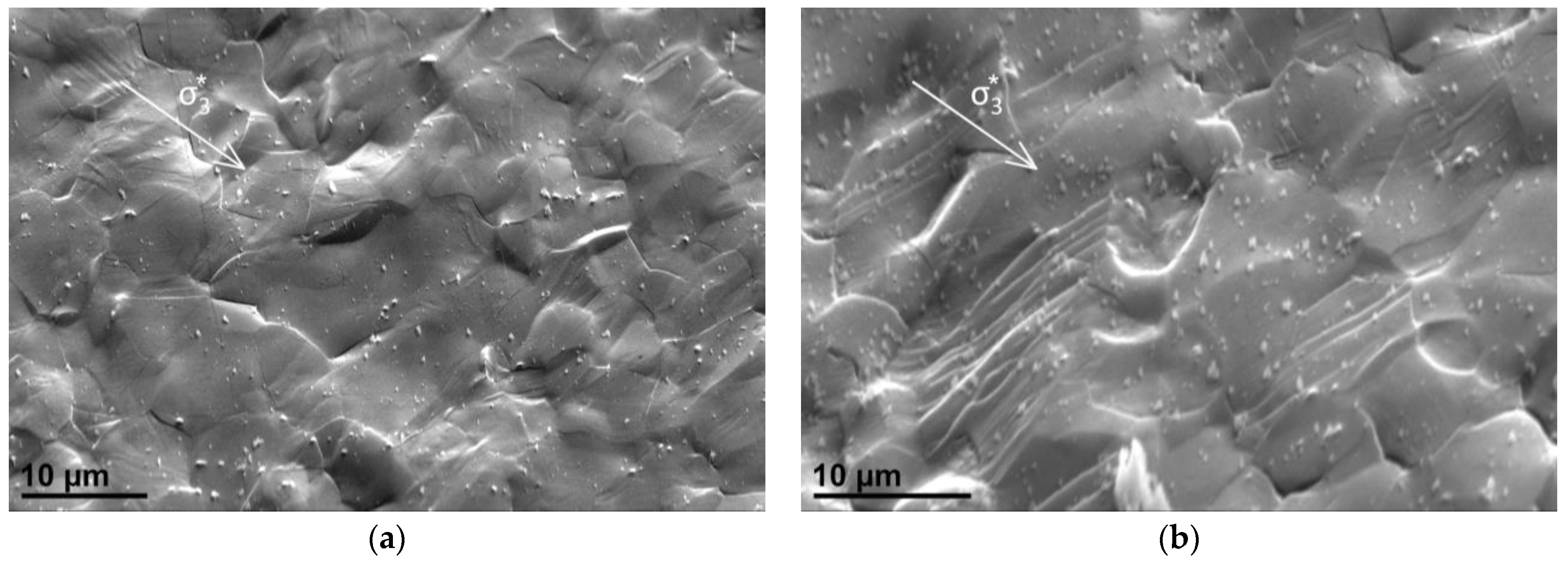 Metals 14 00404 g010