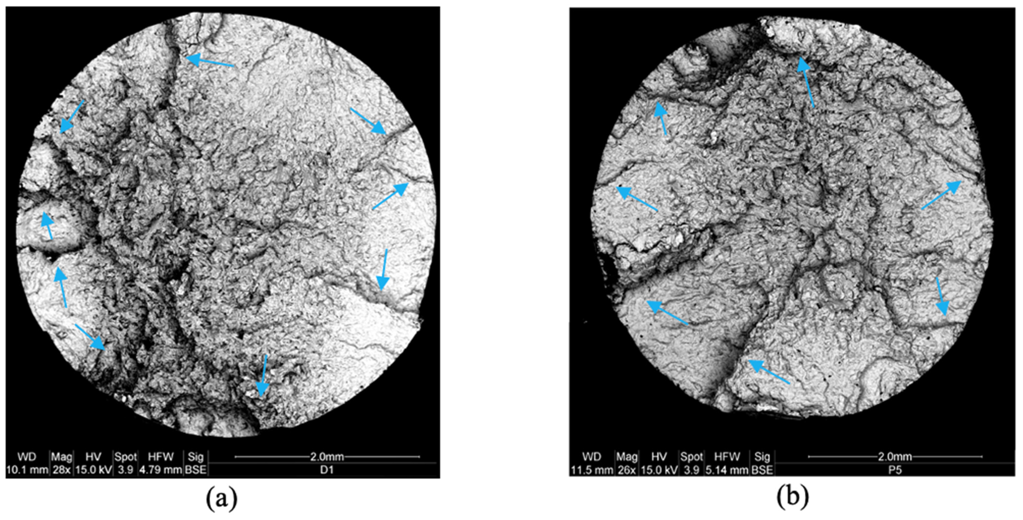 Metals 14 00408 g003