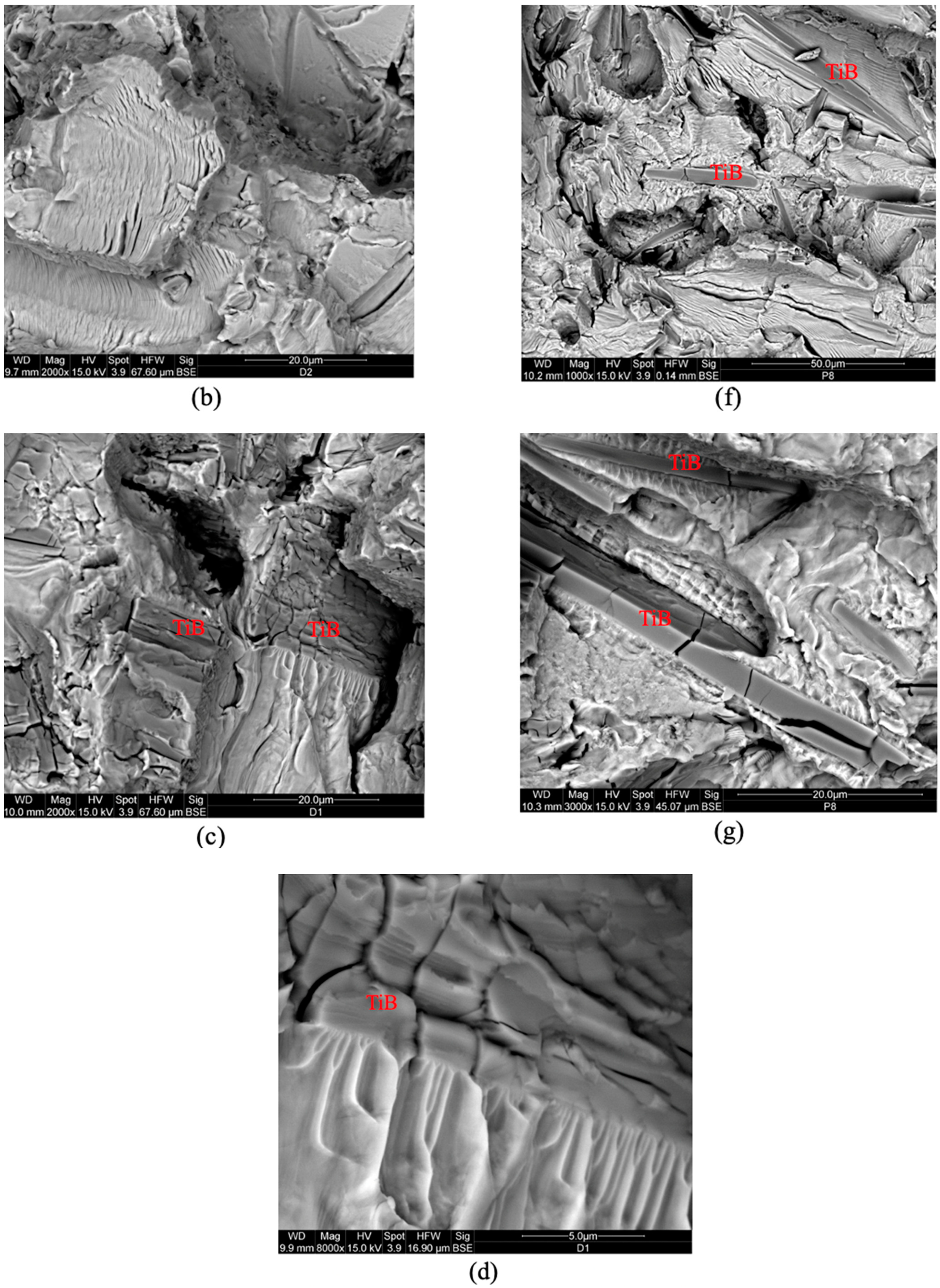 Metals 14 00408 g004b
