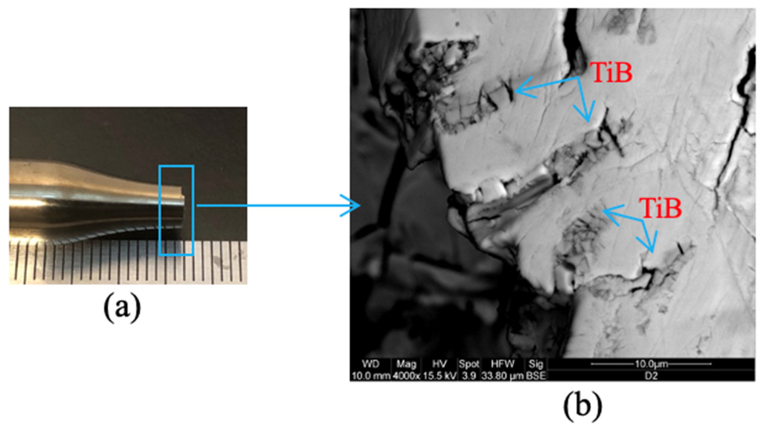 Metals 14 00408 g005