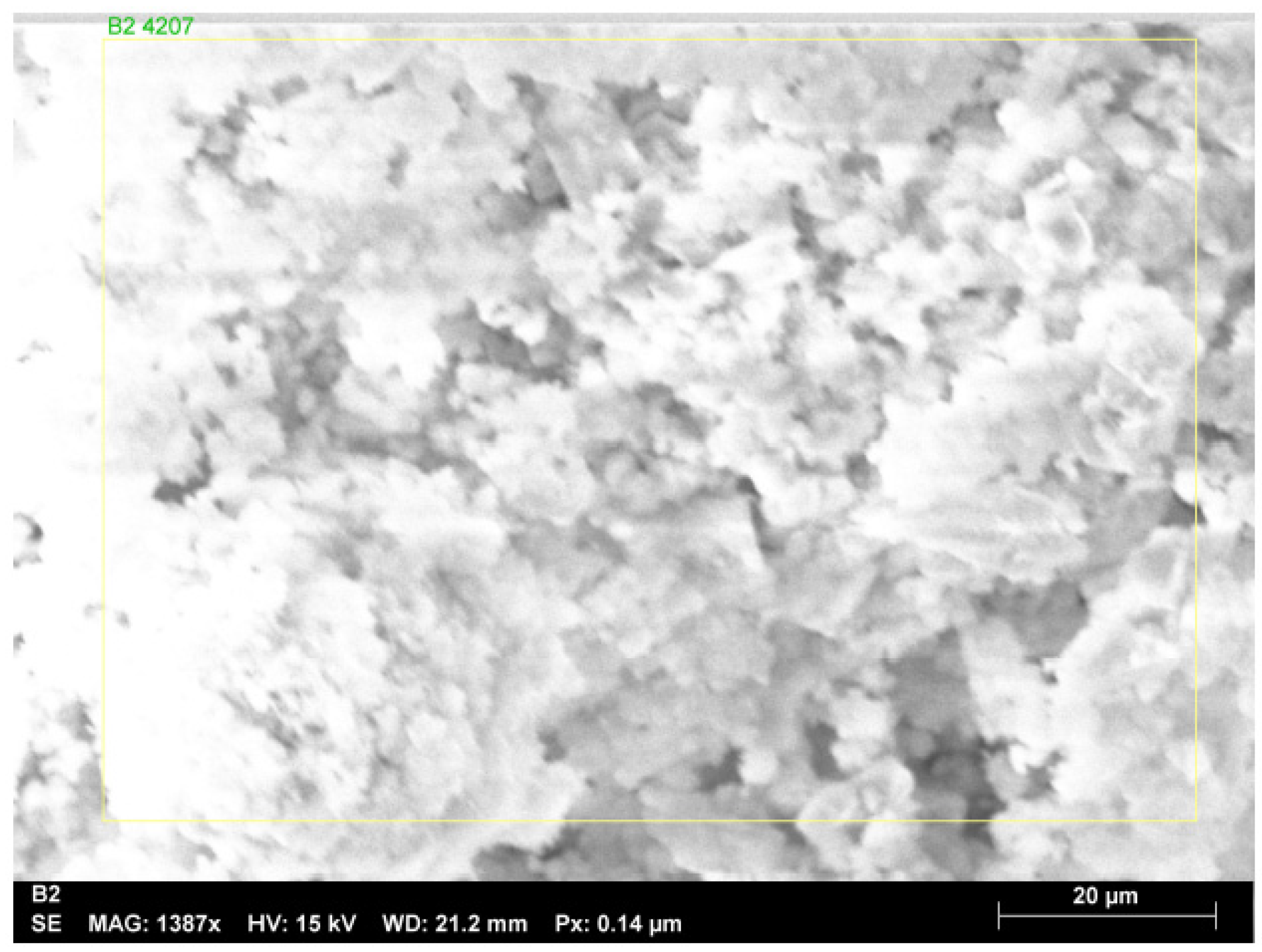 Metals 14 00416 g012