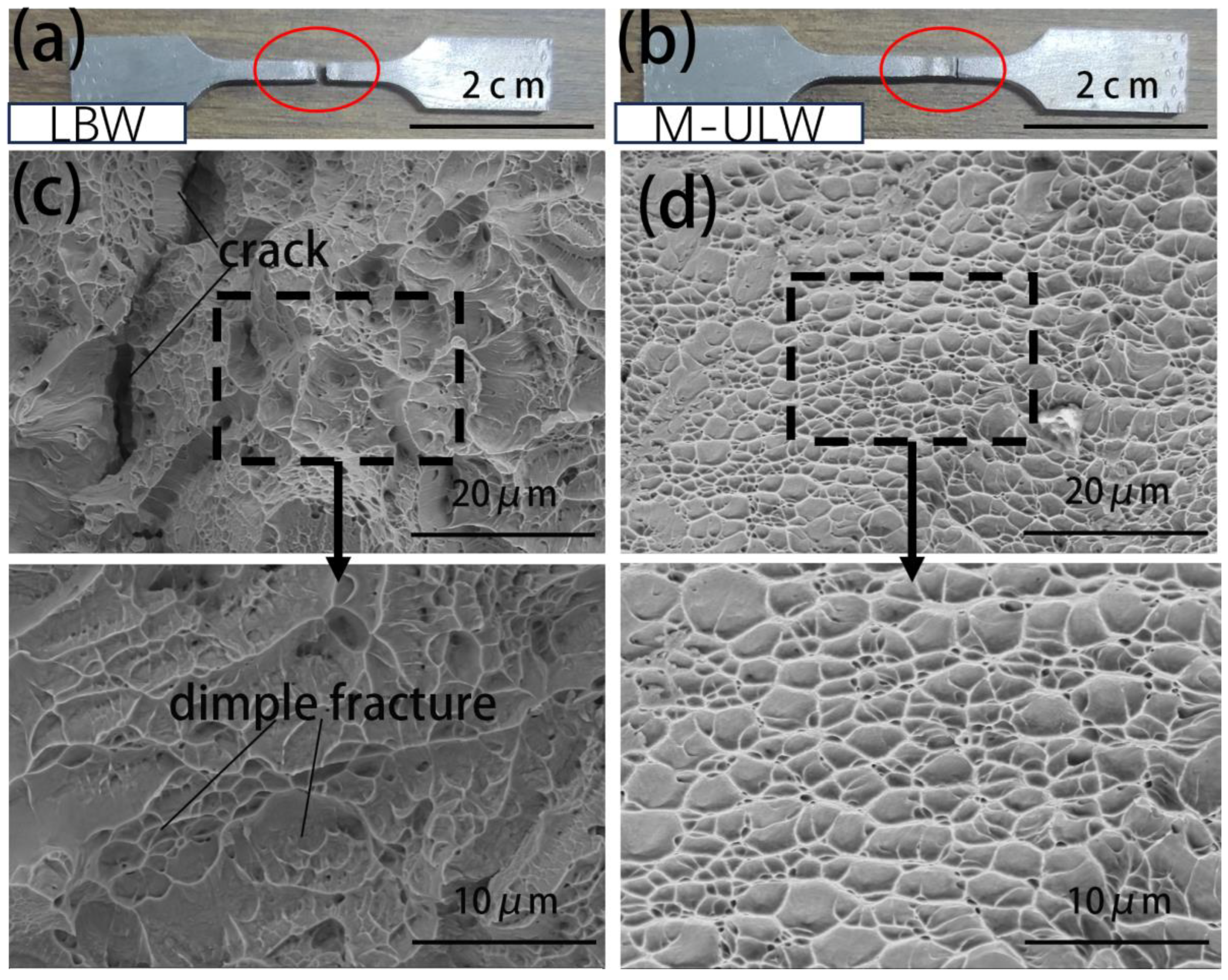 Metals 14 00422 g009