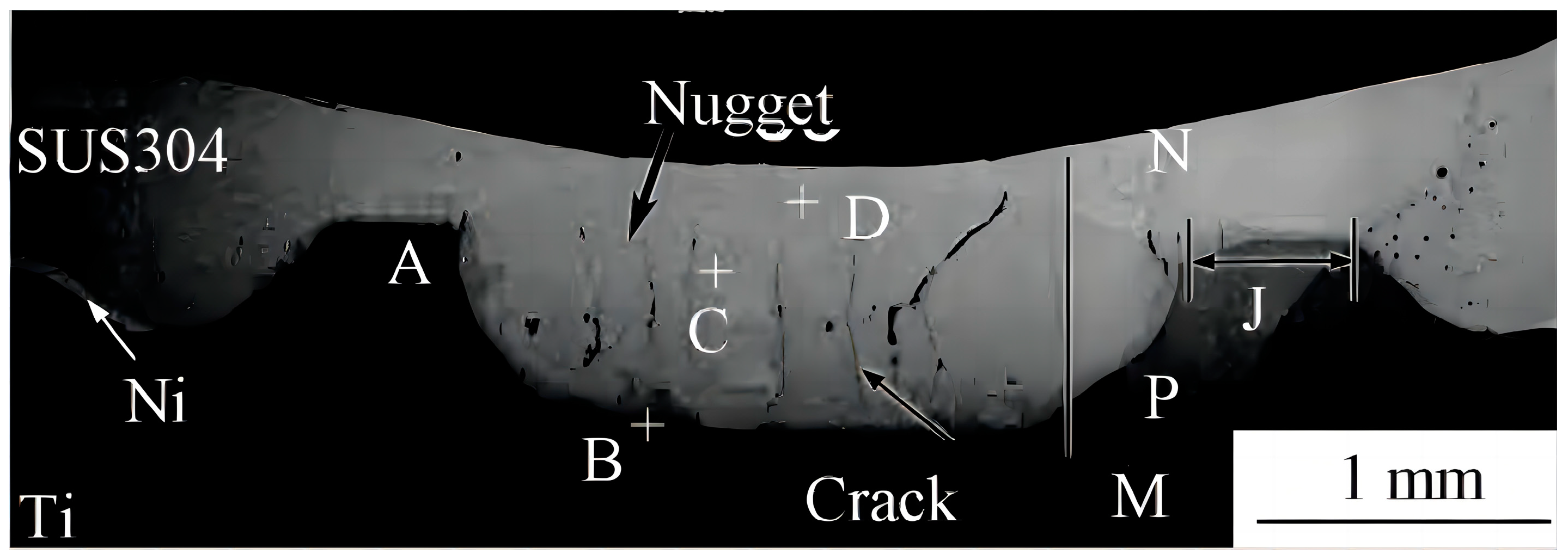 Metals 14 00429 g011