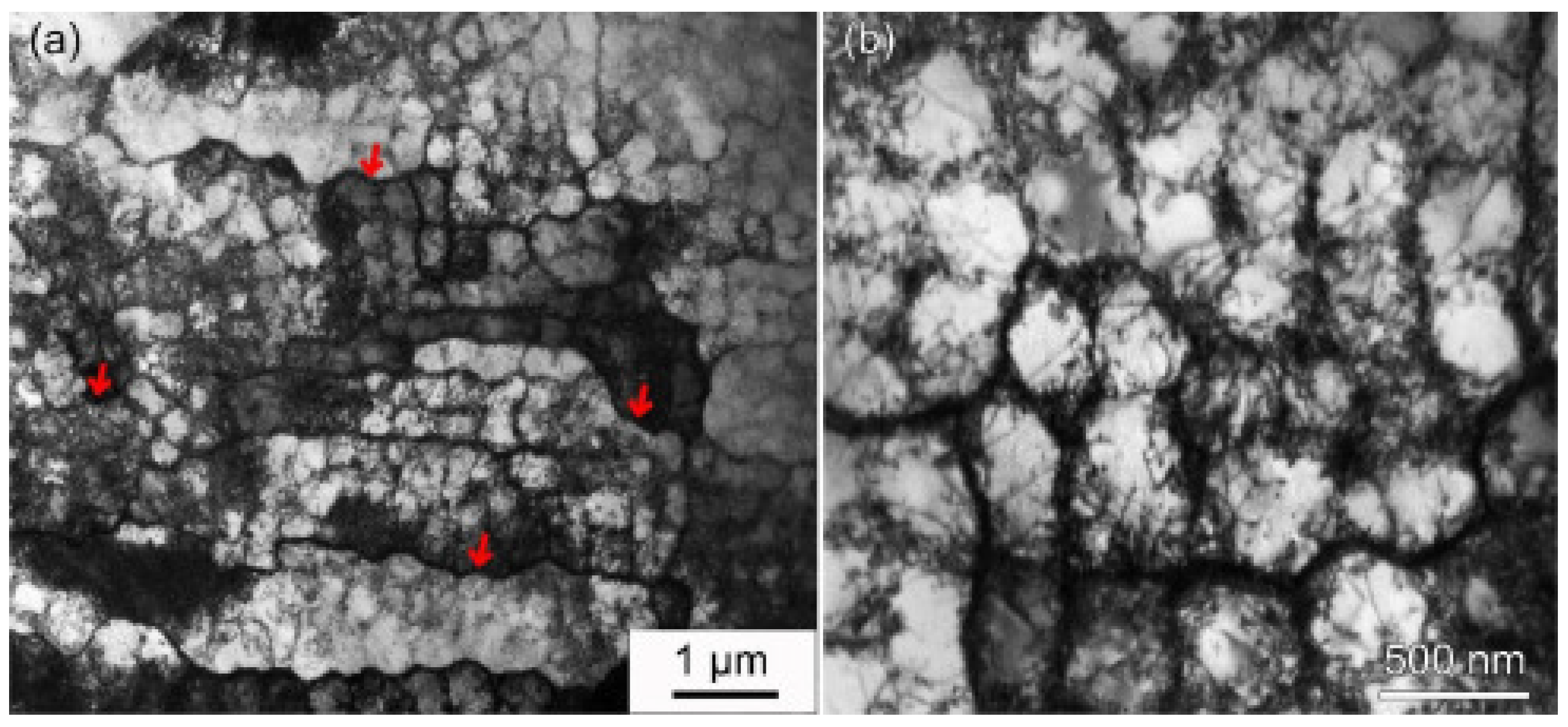 Metals 14 00437 g010