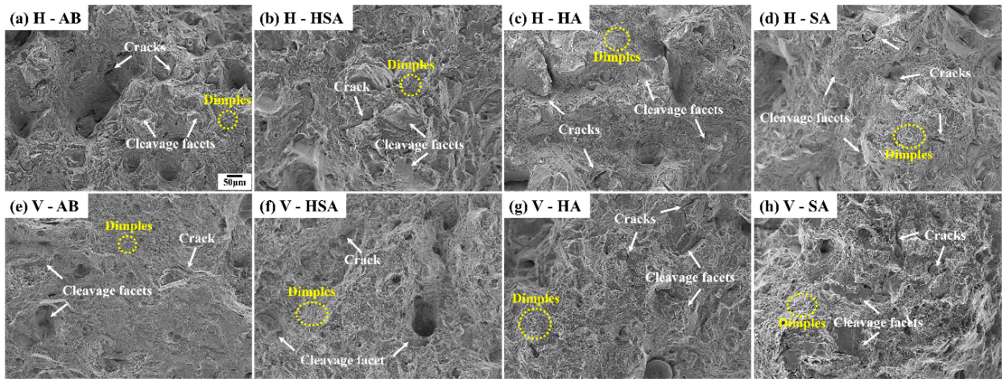 Metals 14 00440 g010