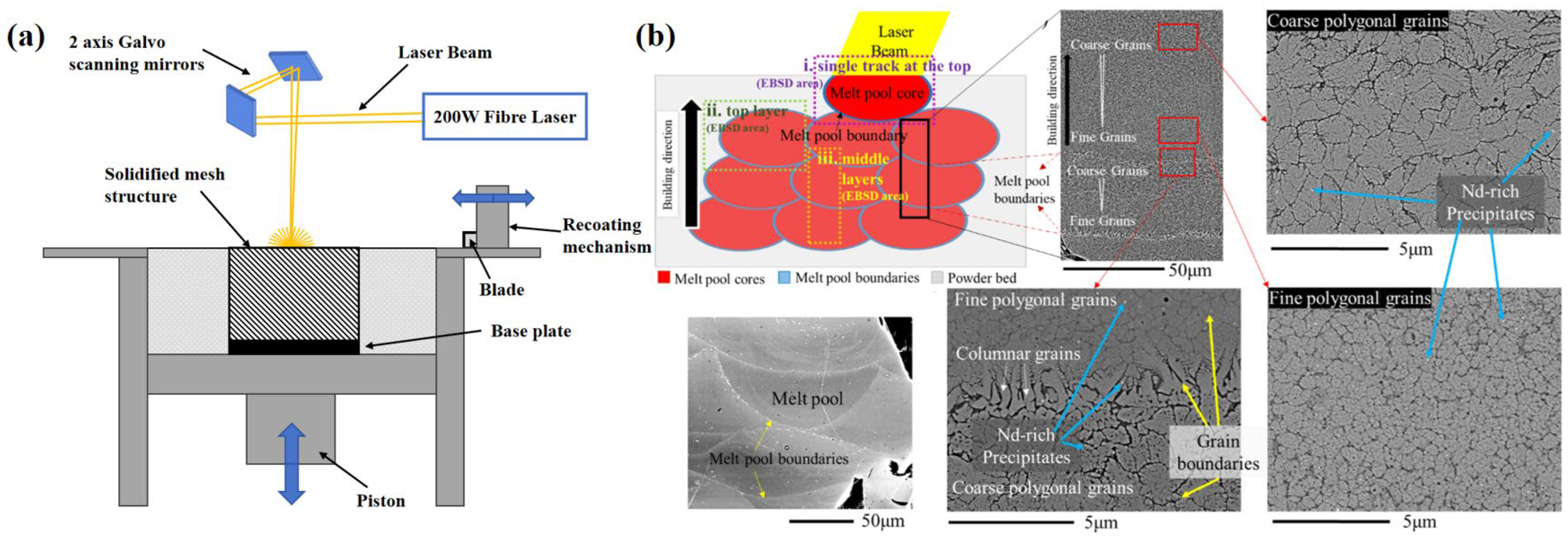 Metals 14 00446 g002