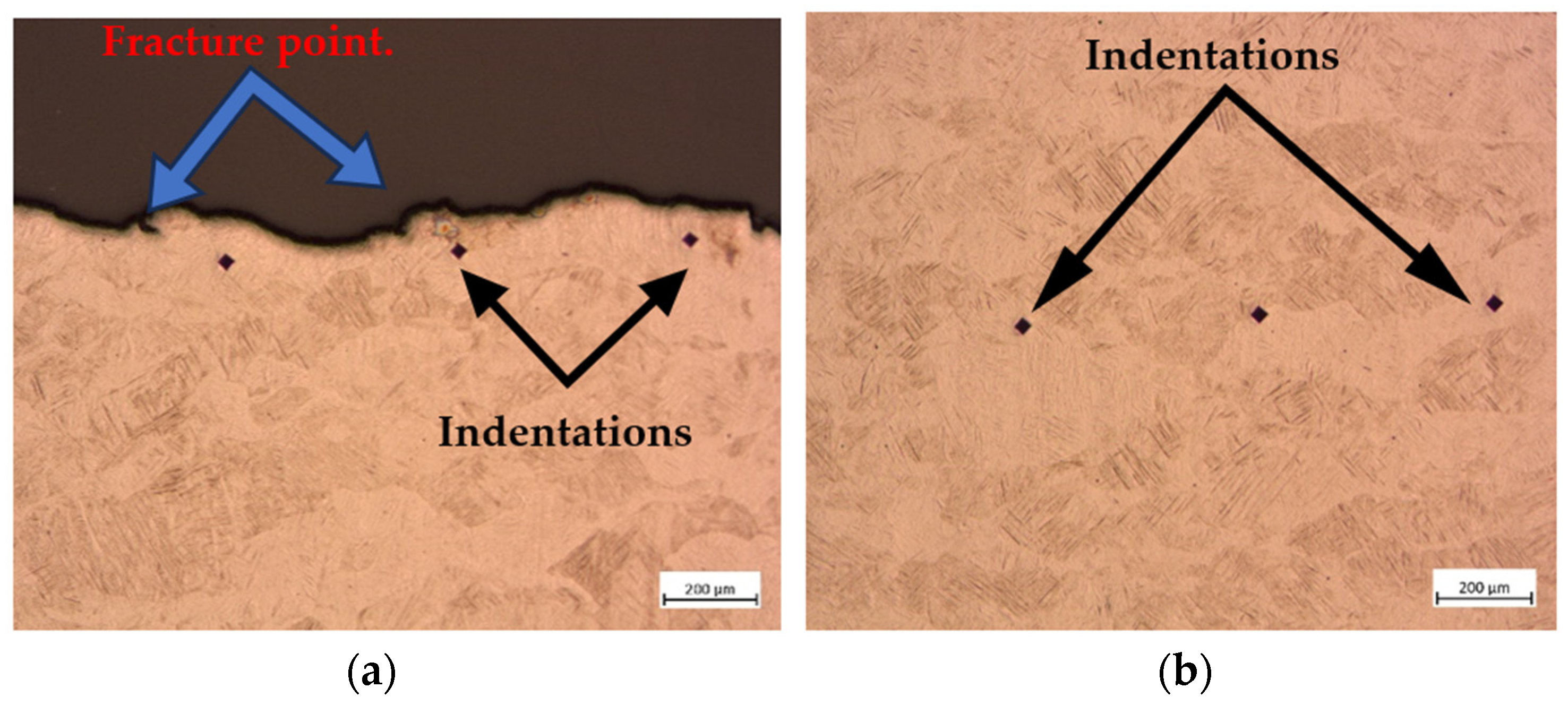 Metals 14 00447 g005