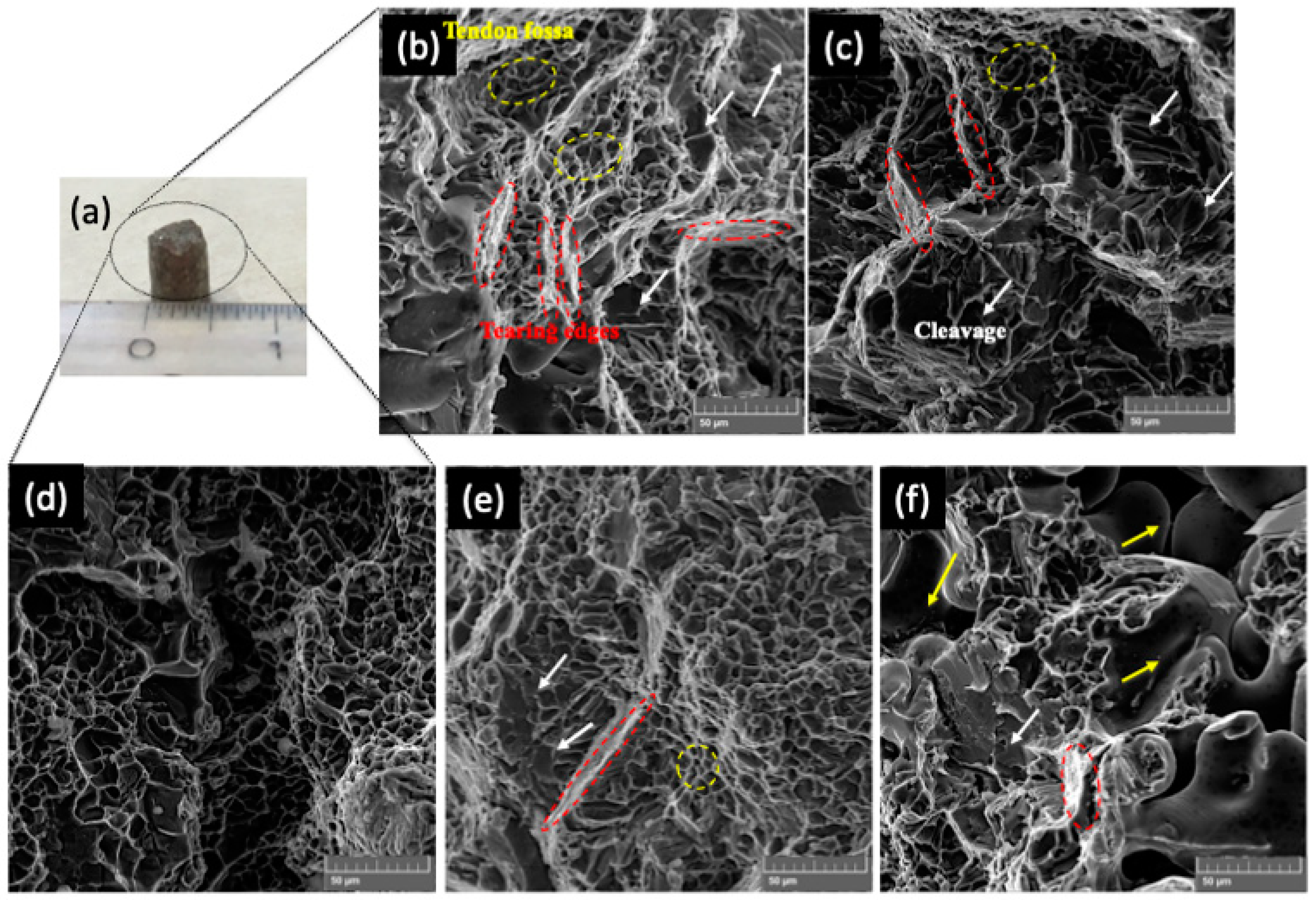 Metals 14 00461 g010