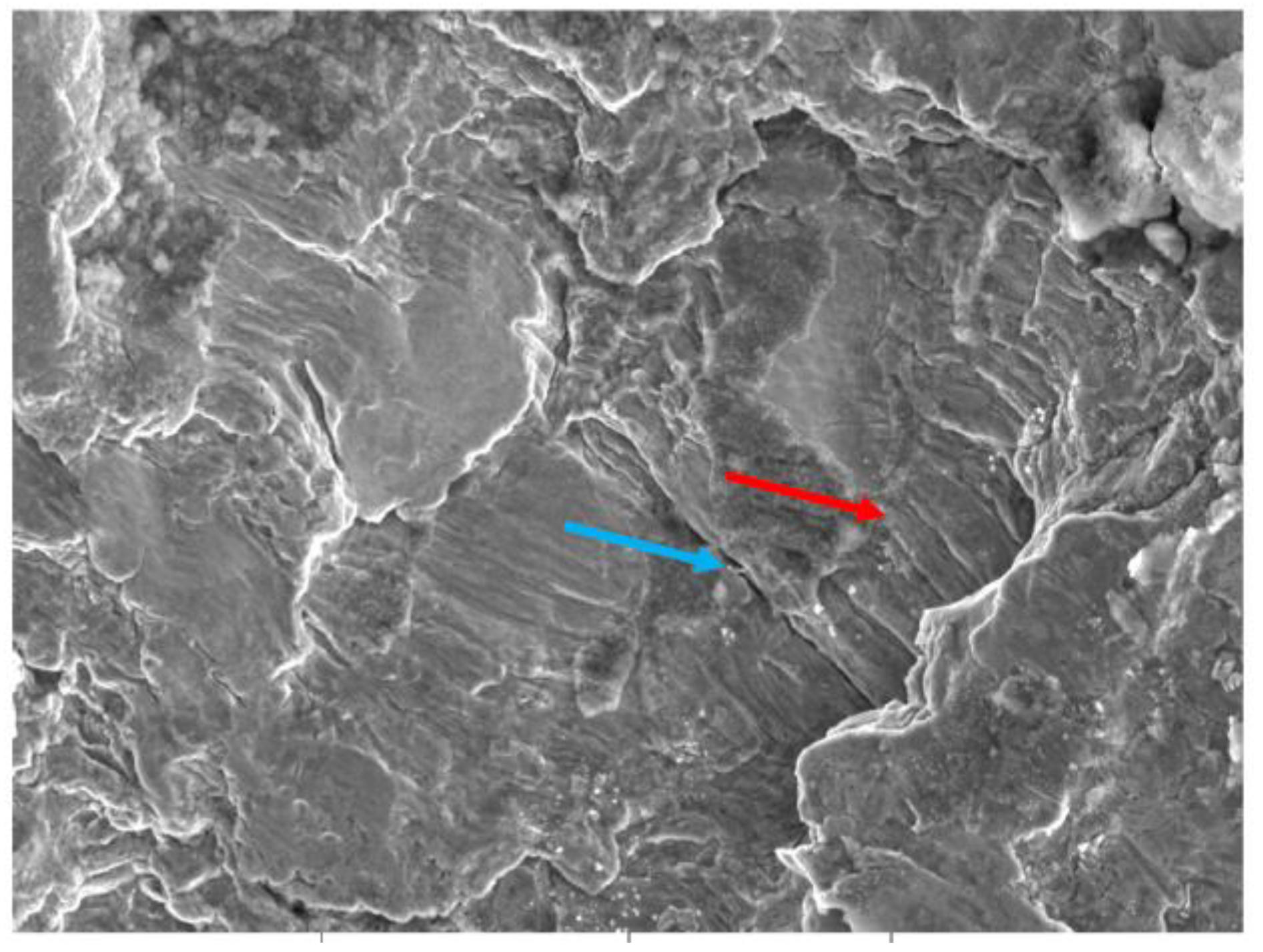 Metals 14 00464 g023