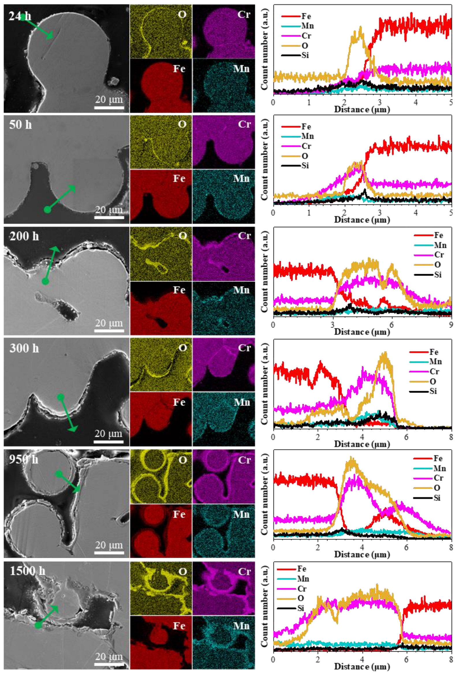 Metals 14 00475 g006