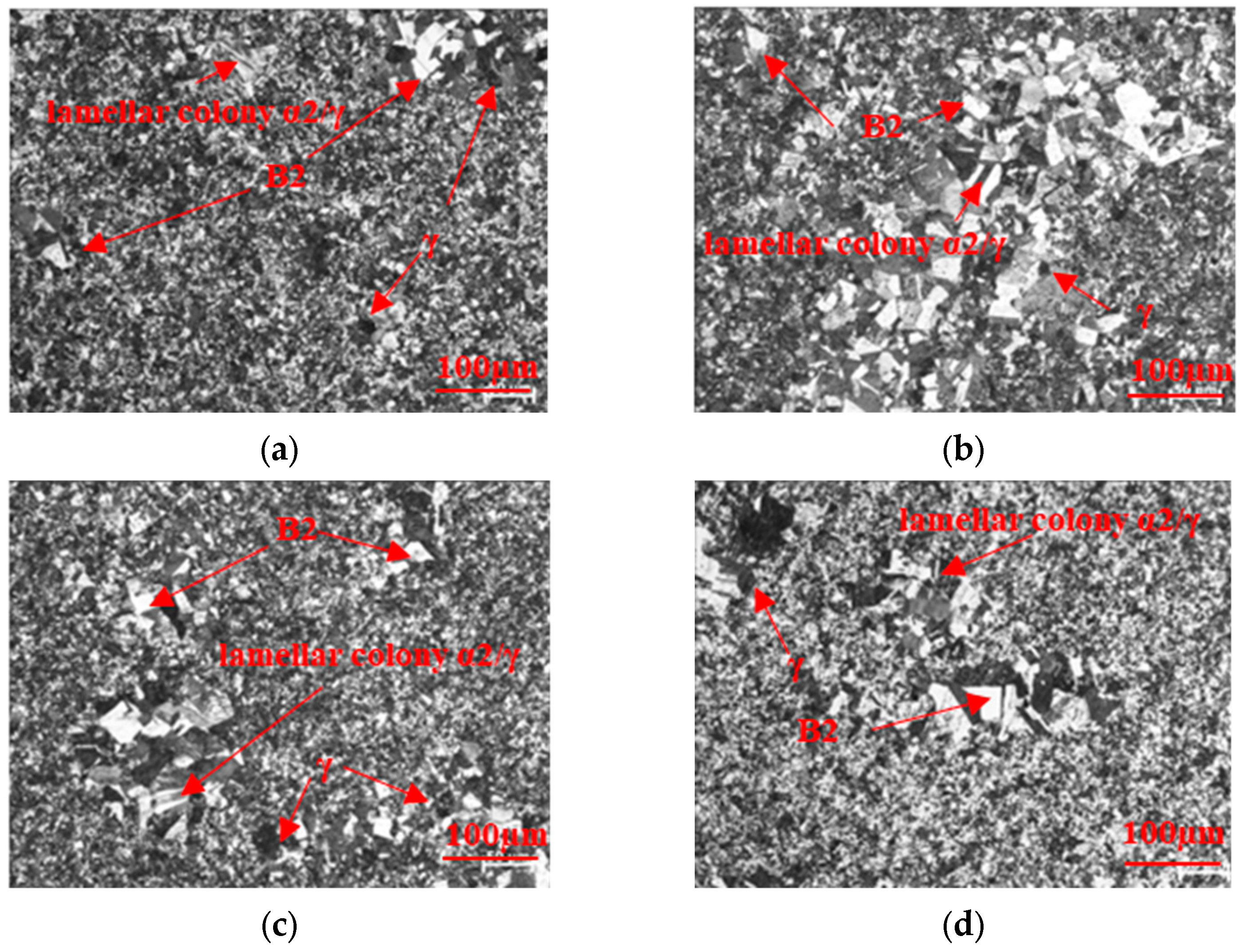 Metals 14 00482 g006