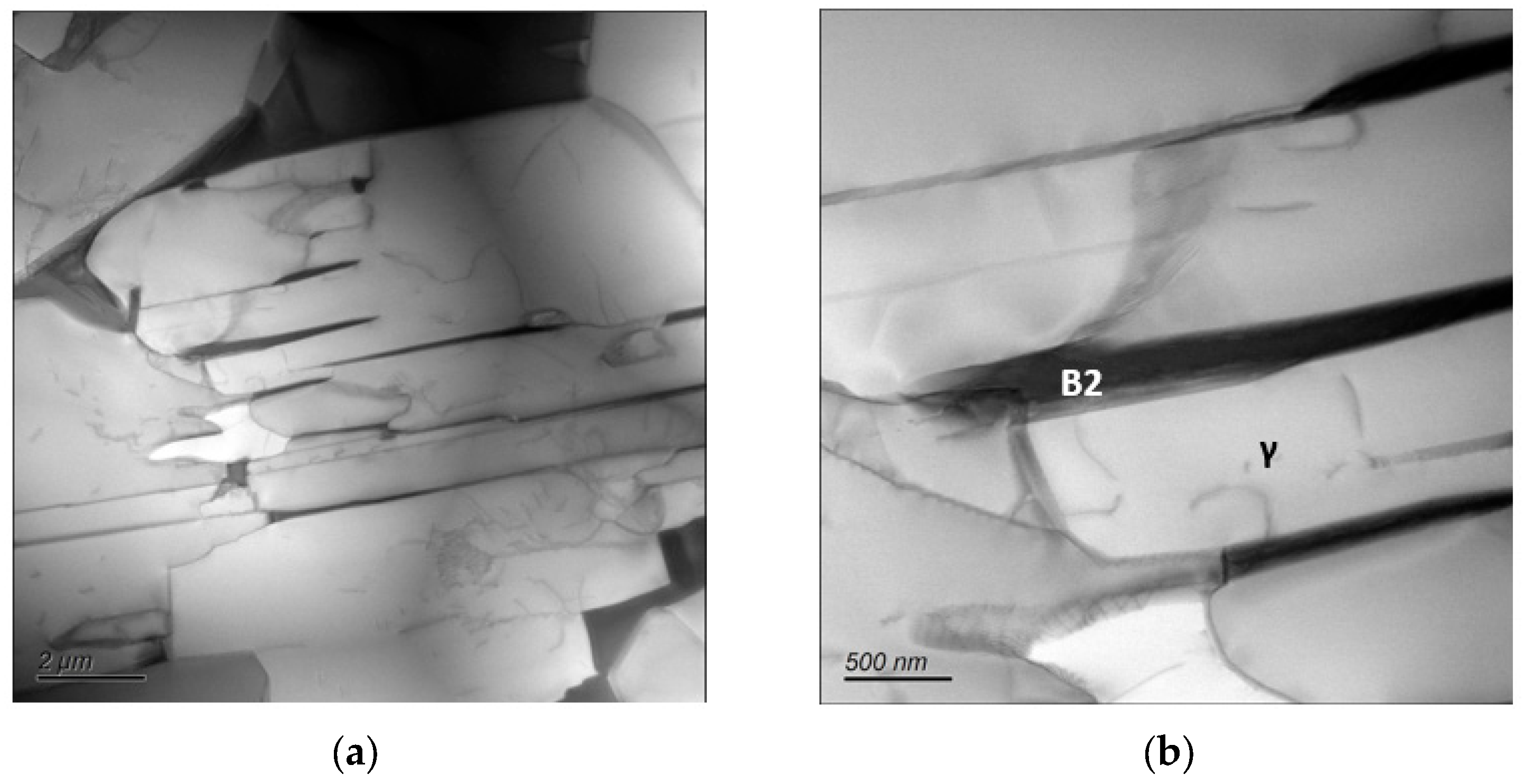 Metals 14 00482 g021a