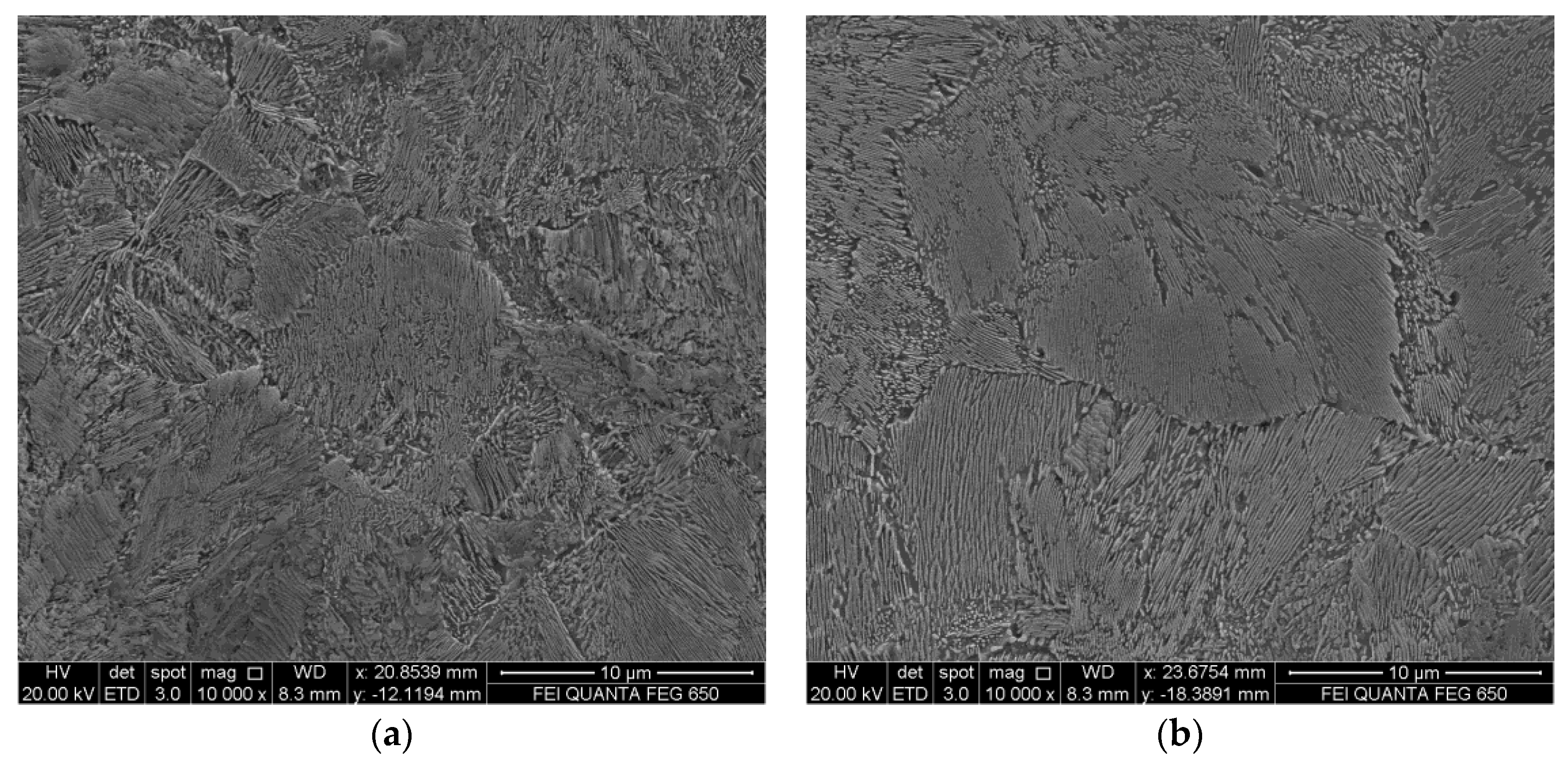 Metals 14 00483 g012