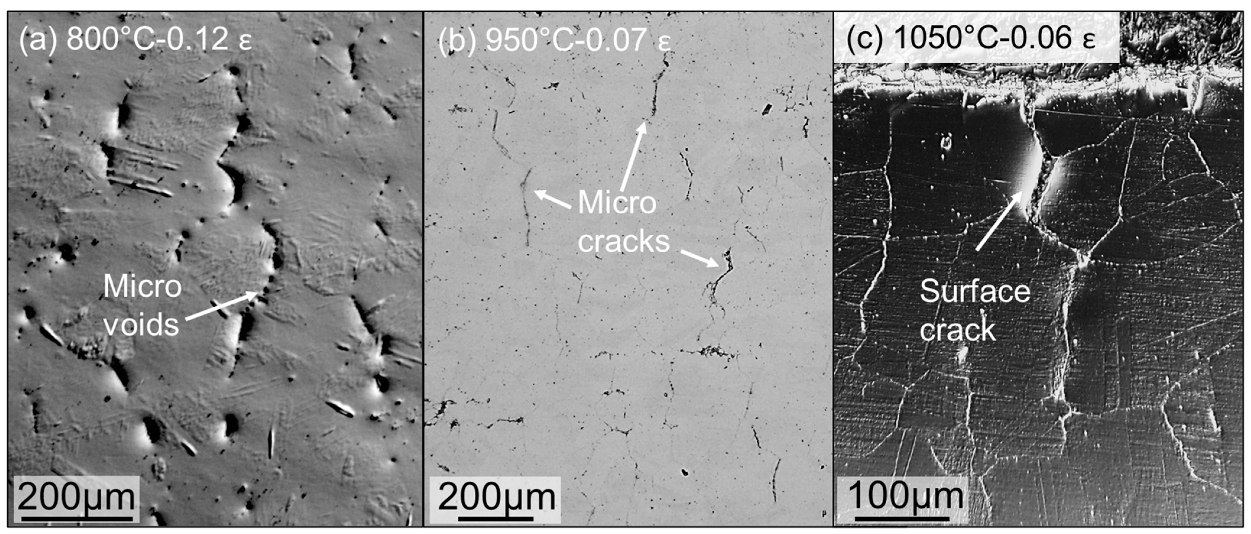 Metals 14 00494 g008