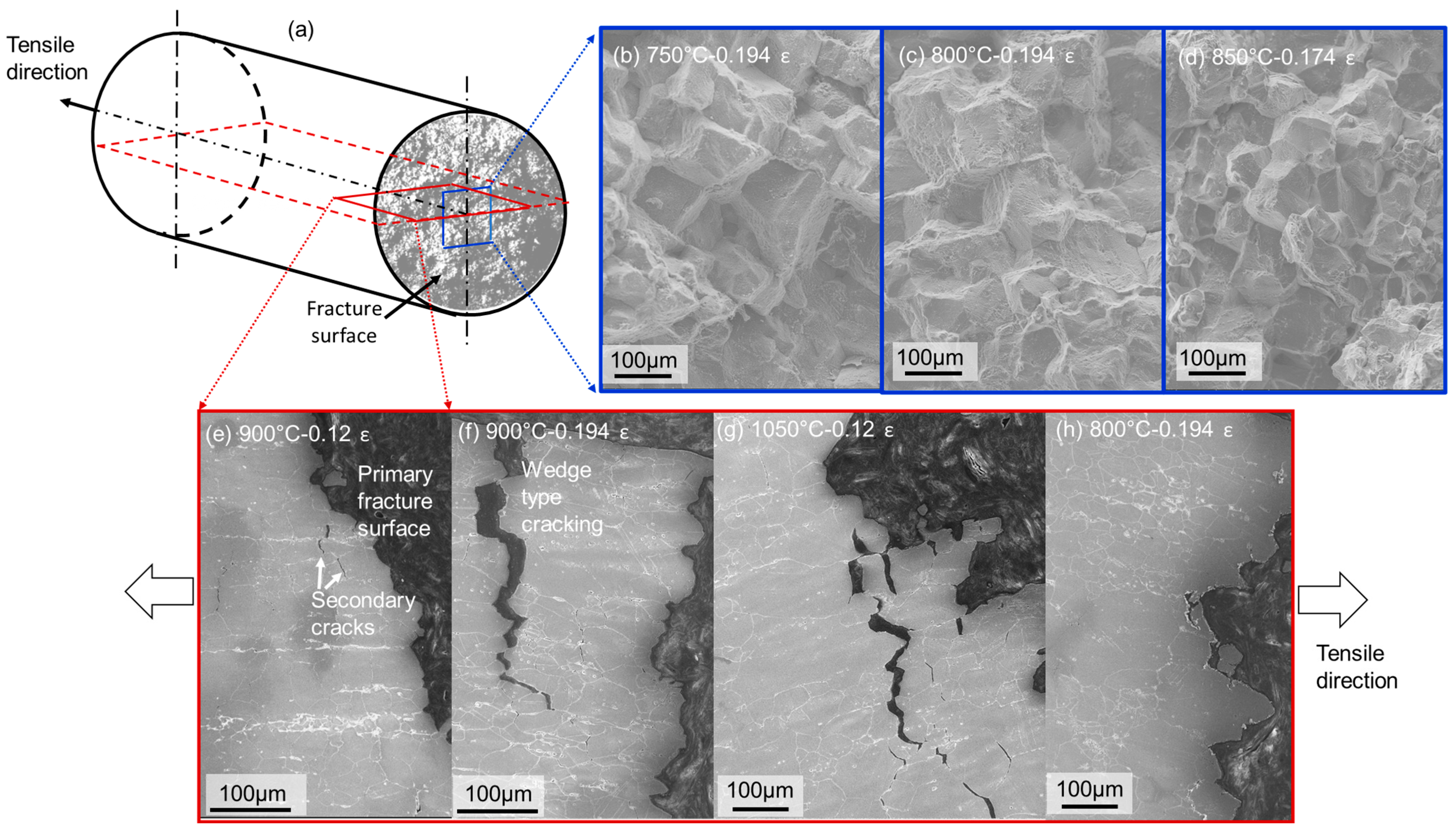Metals 14 00494 g009