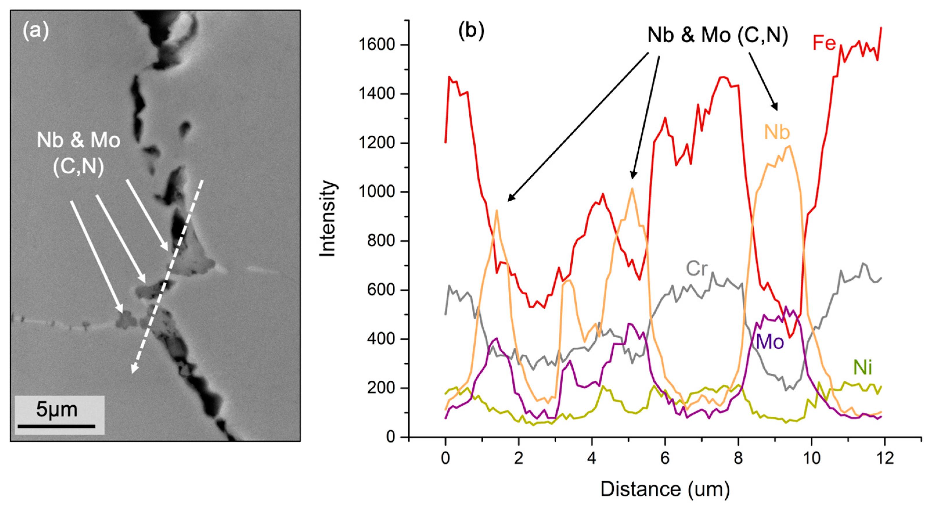 Metals 14 00494 g011