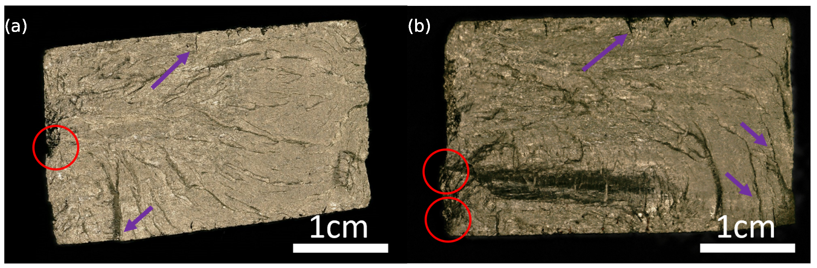 Metals 14 00496 g013