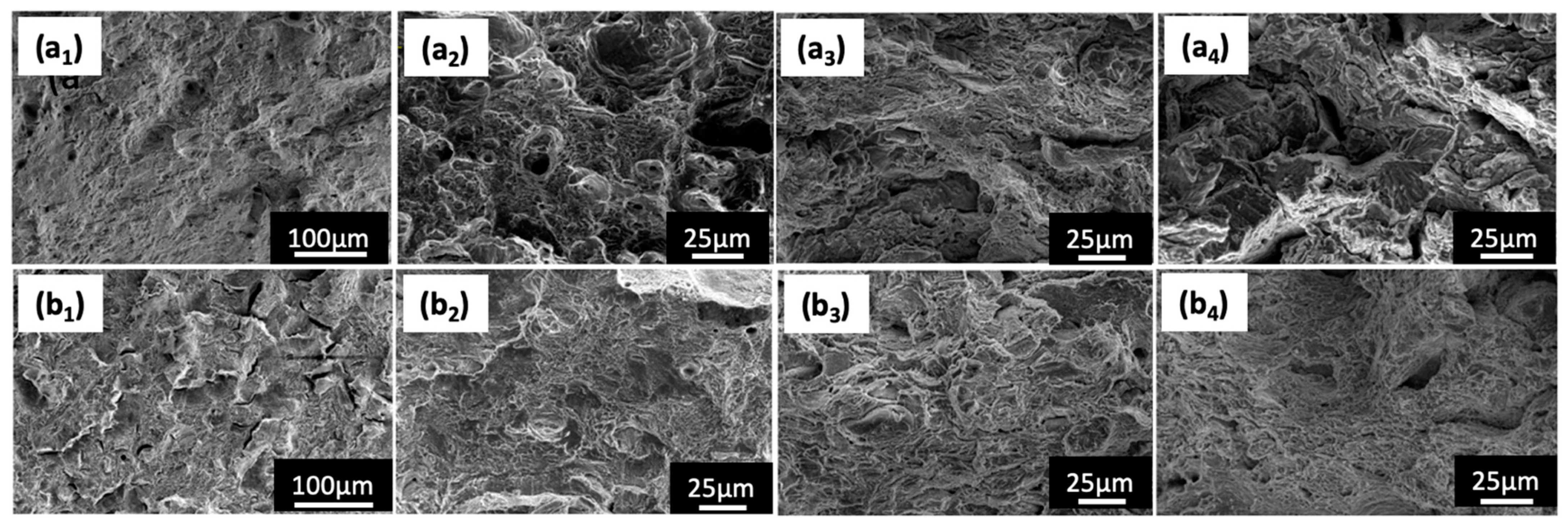 Metals 14 00500 g009 Metals 14 00500 g009