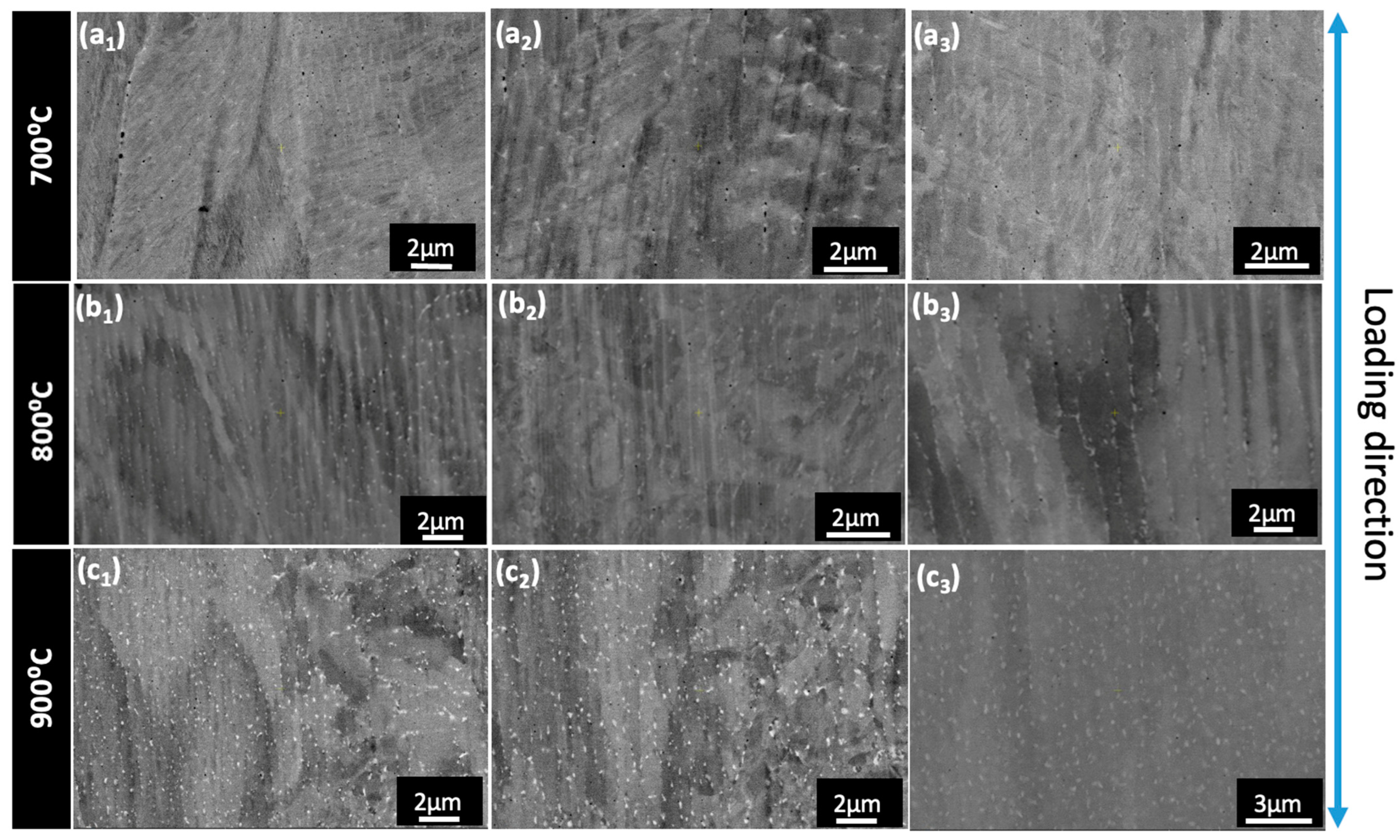 Metals 14 00500 g010 Metals 14 00500 g010