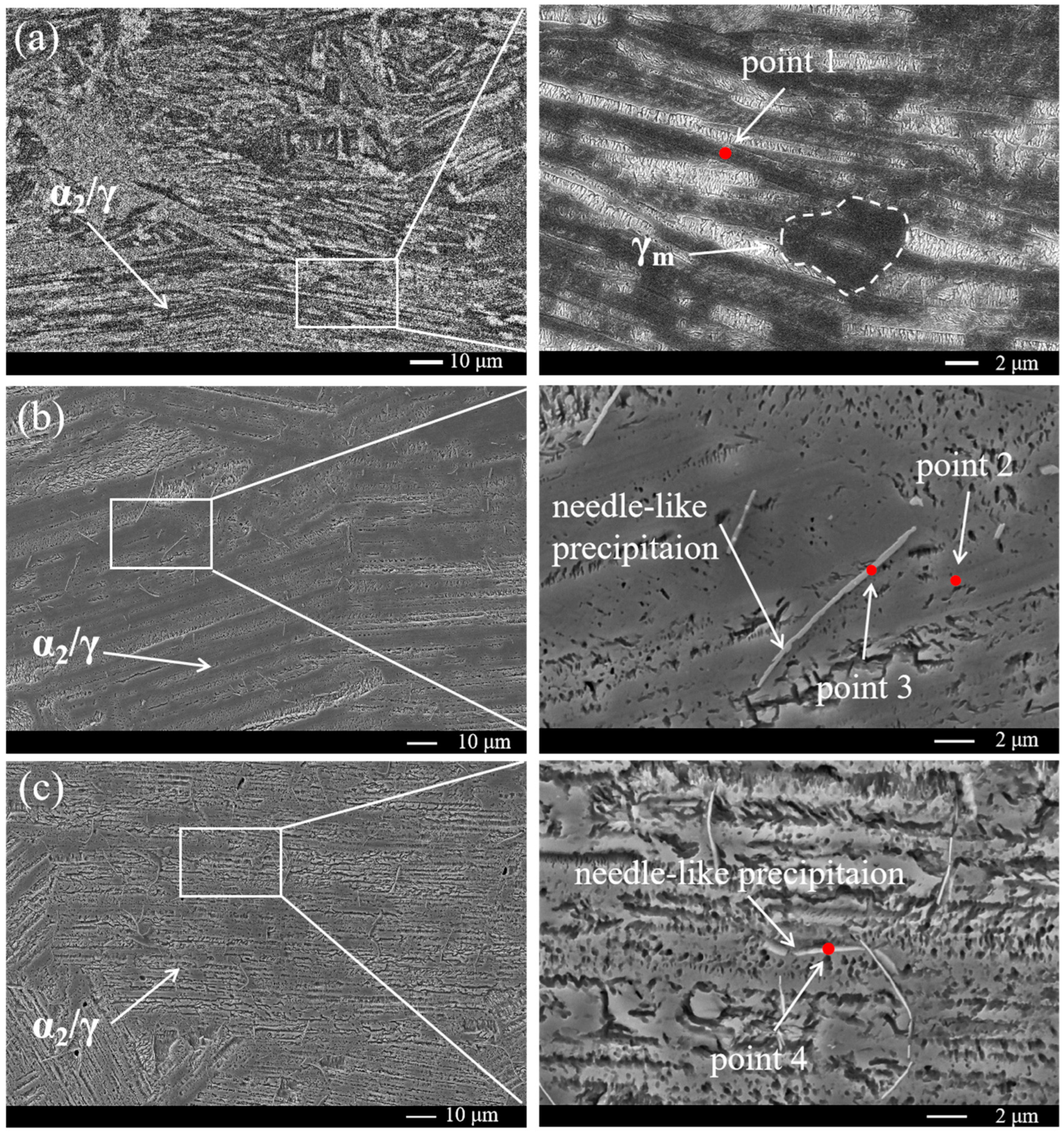 Metals 14 00533 g003