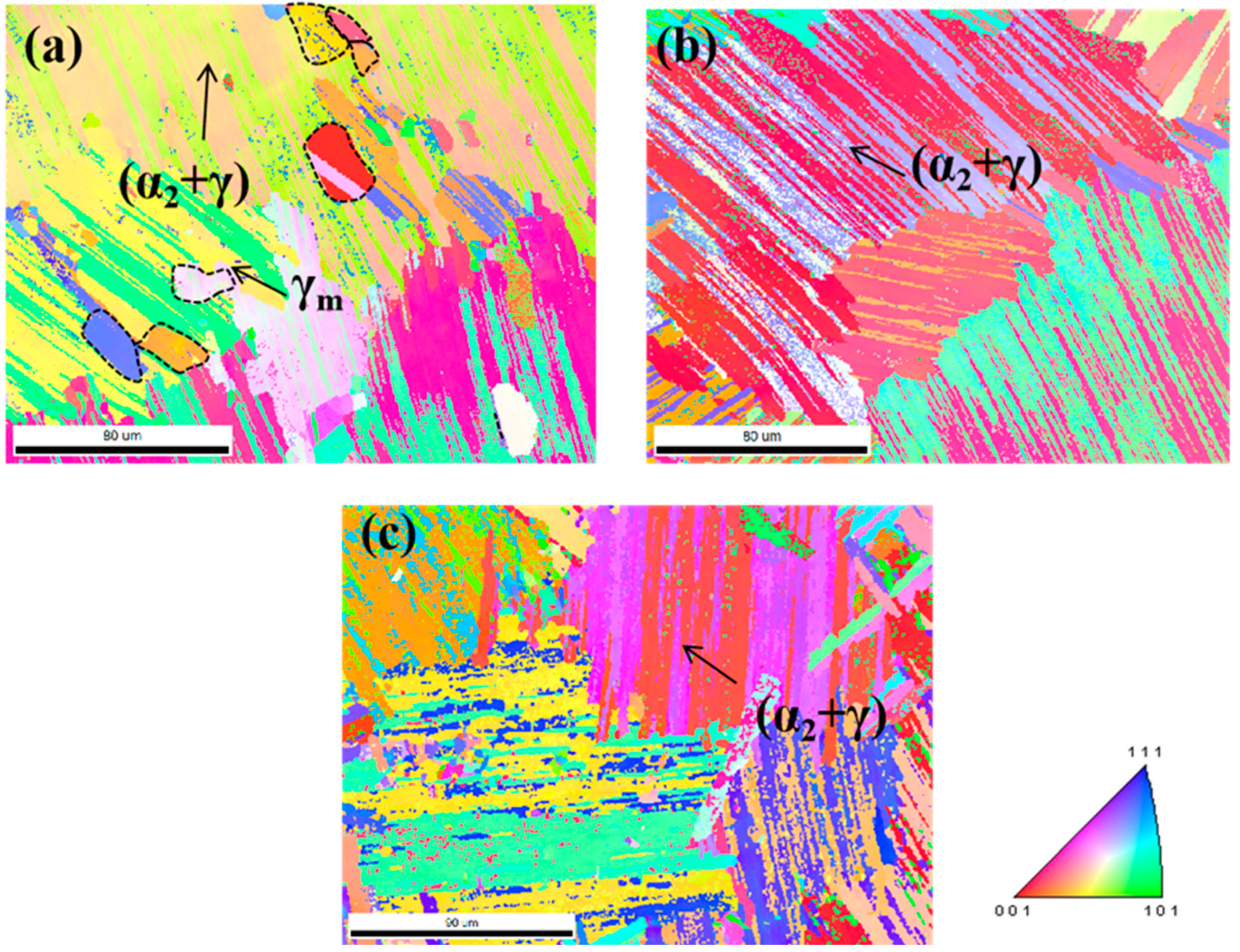 Metals 14 00533 g004