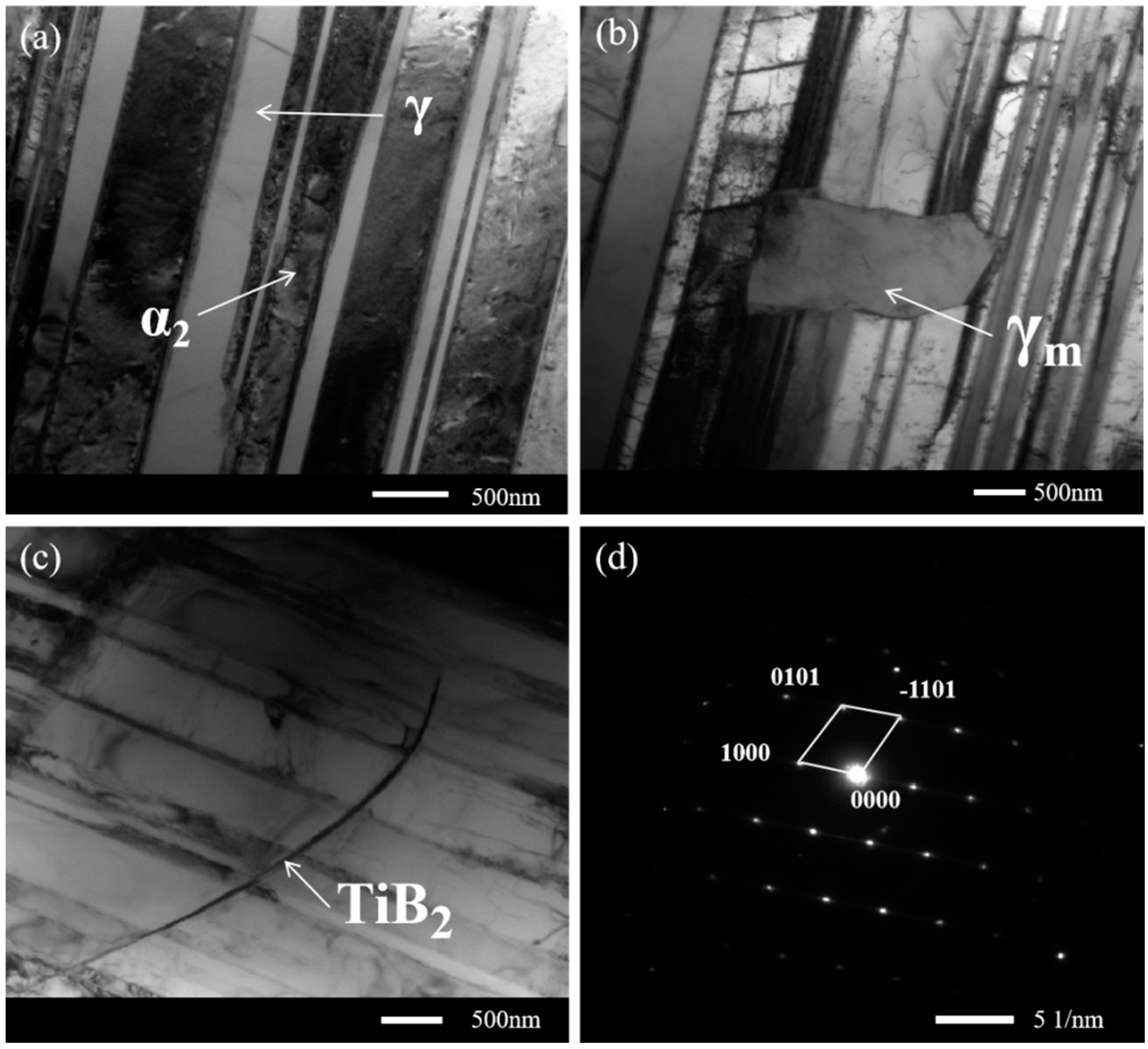 Metals 14 00533 g005