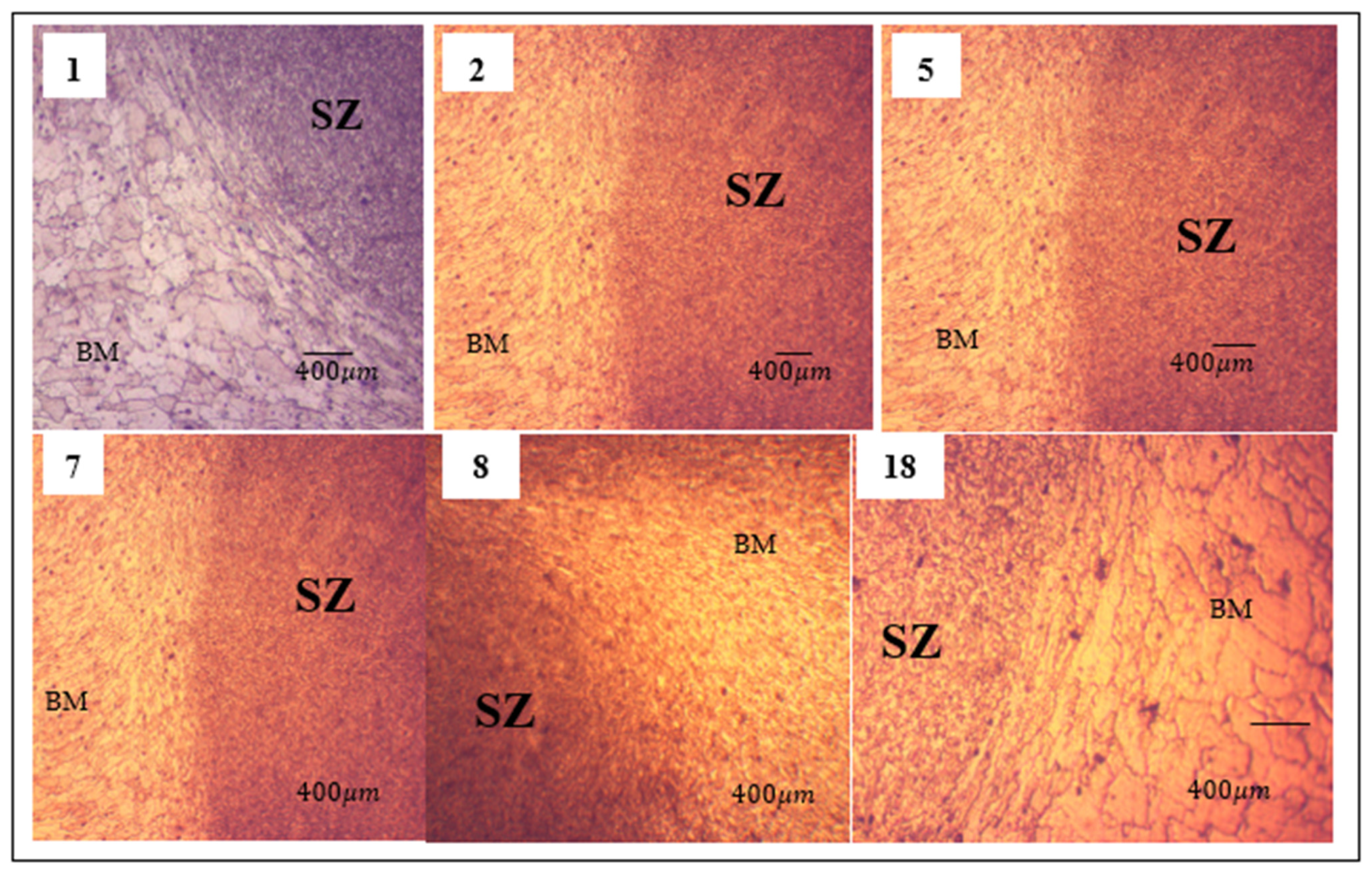 Metals 14 00534 g004