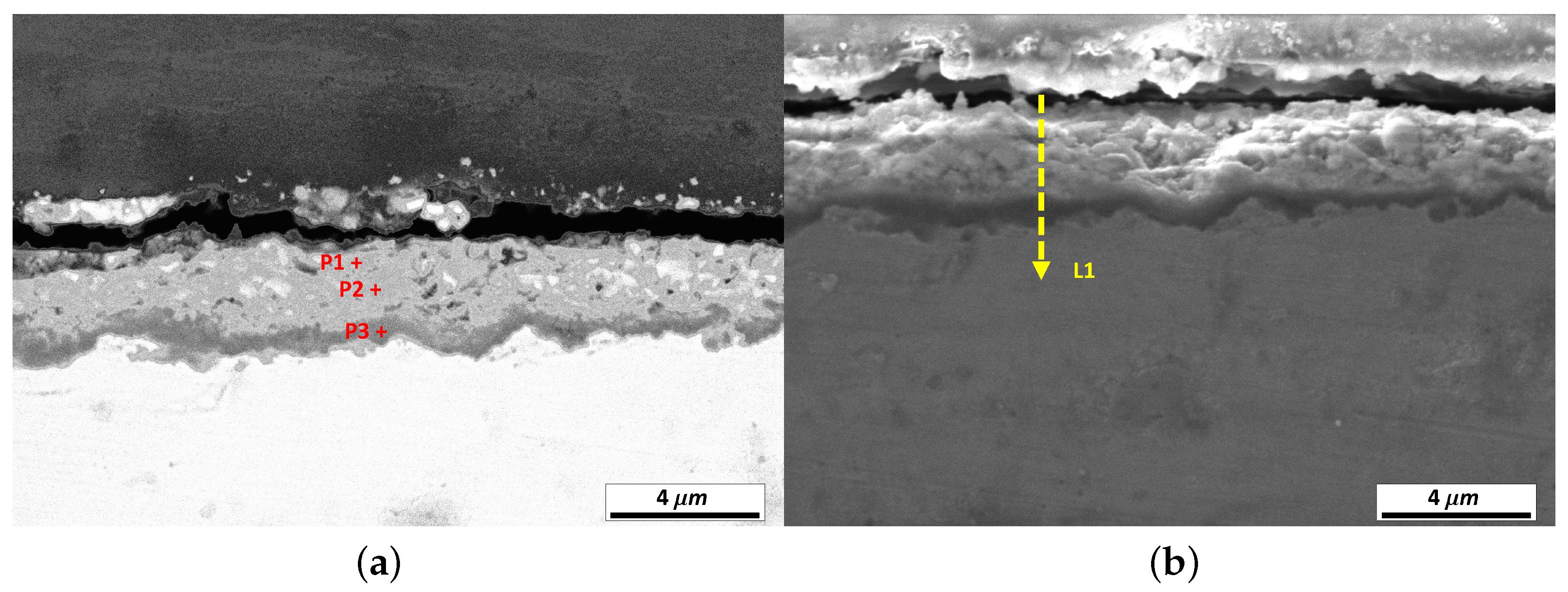 Metals 14 00574 g005