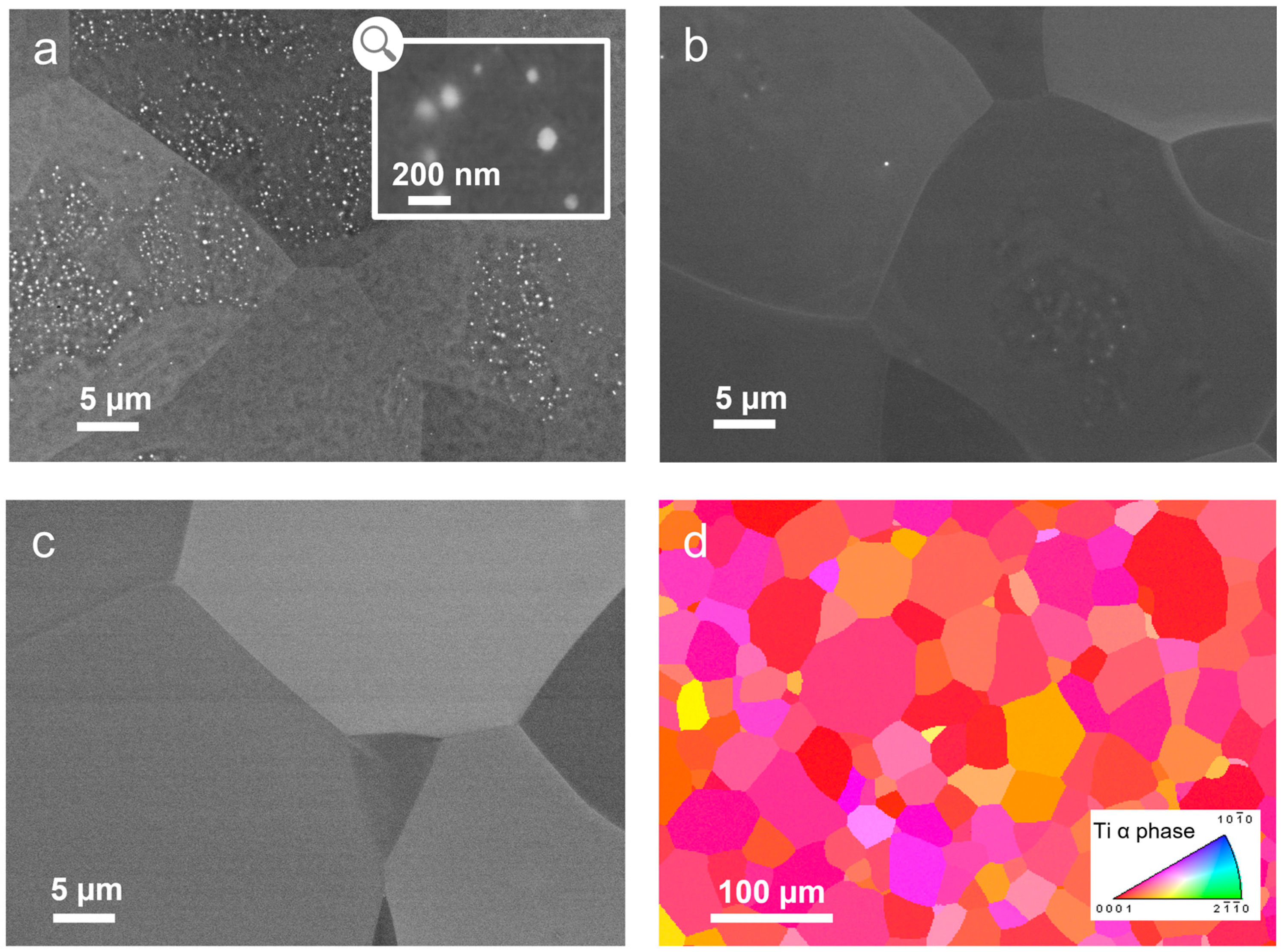 Metals 14 00577 g005