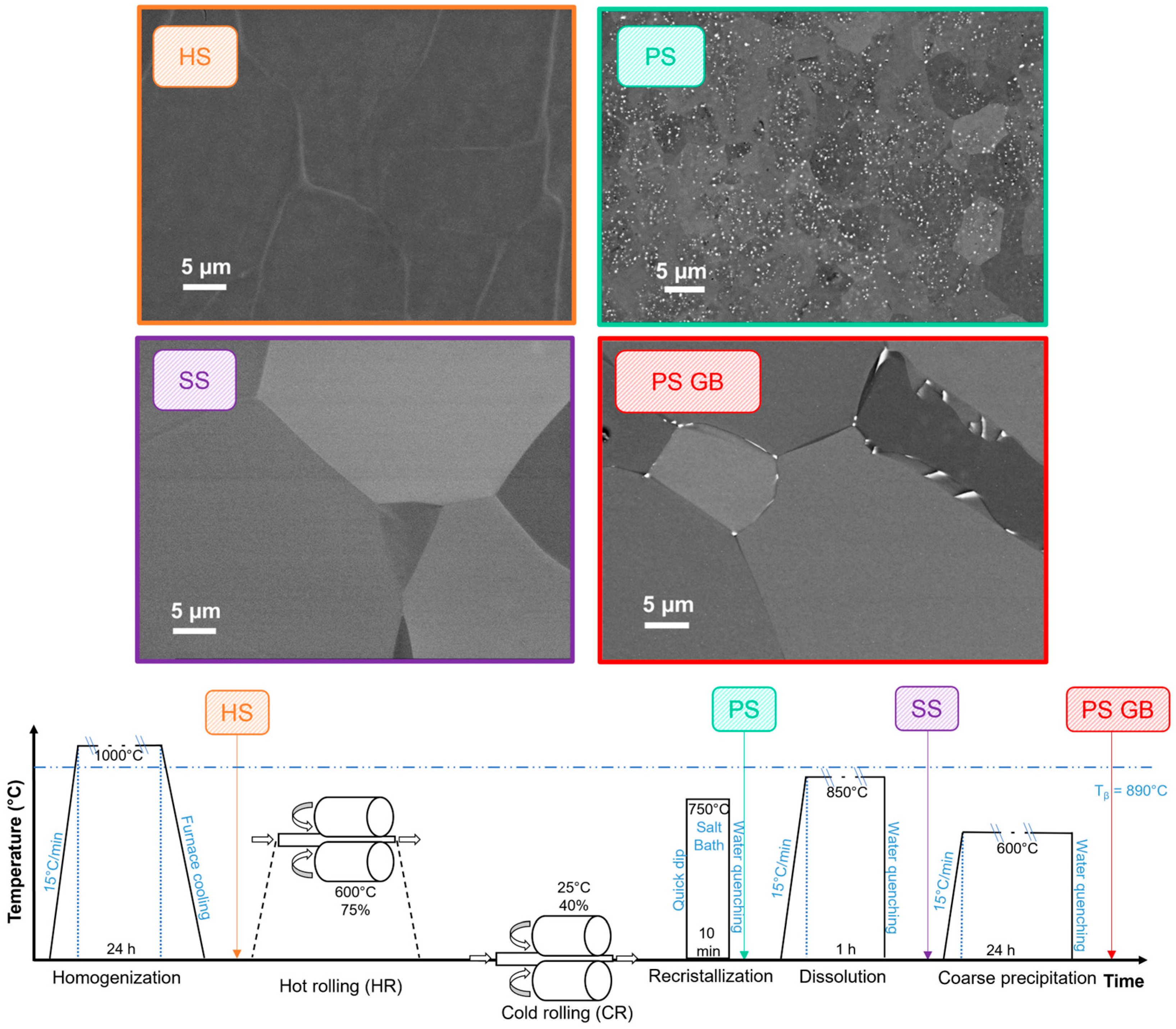 Metals 14 00577 g008