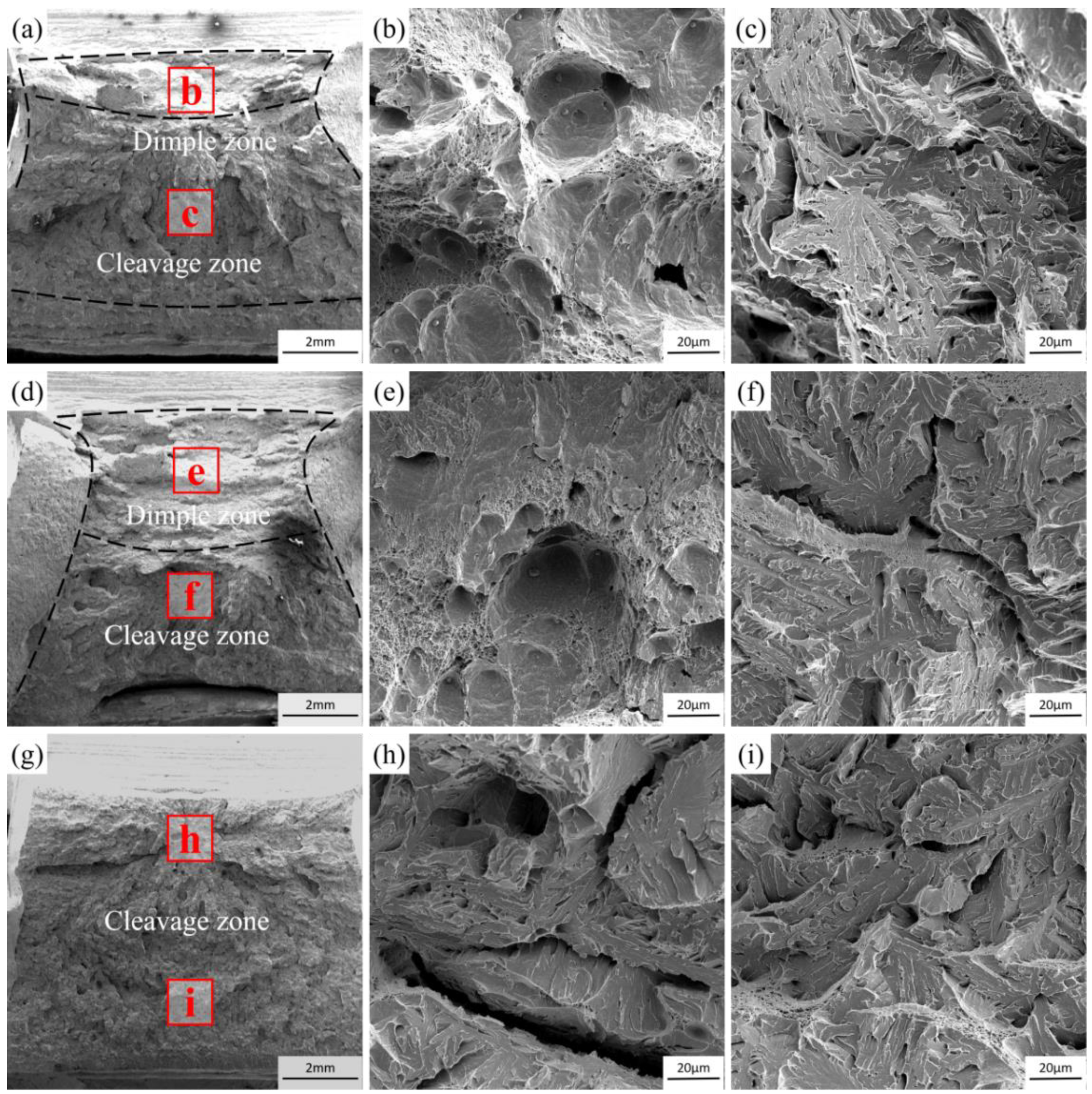 Metals 14 00587 g006