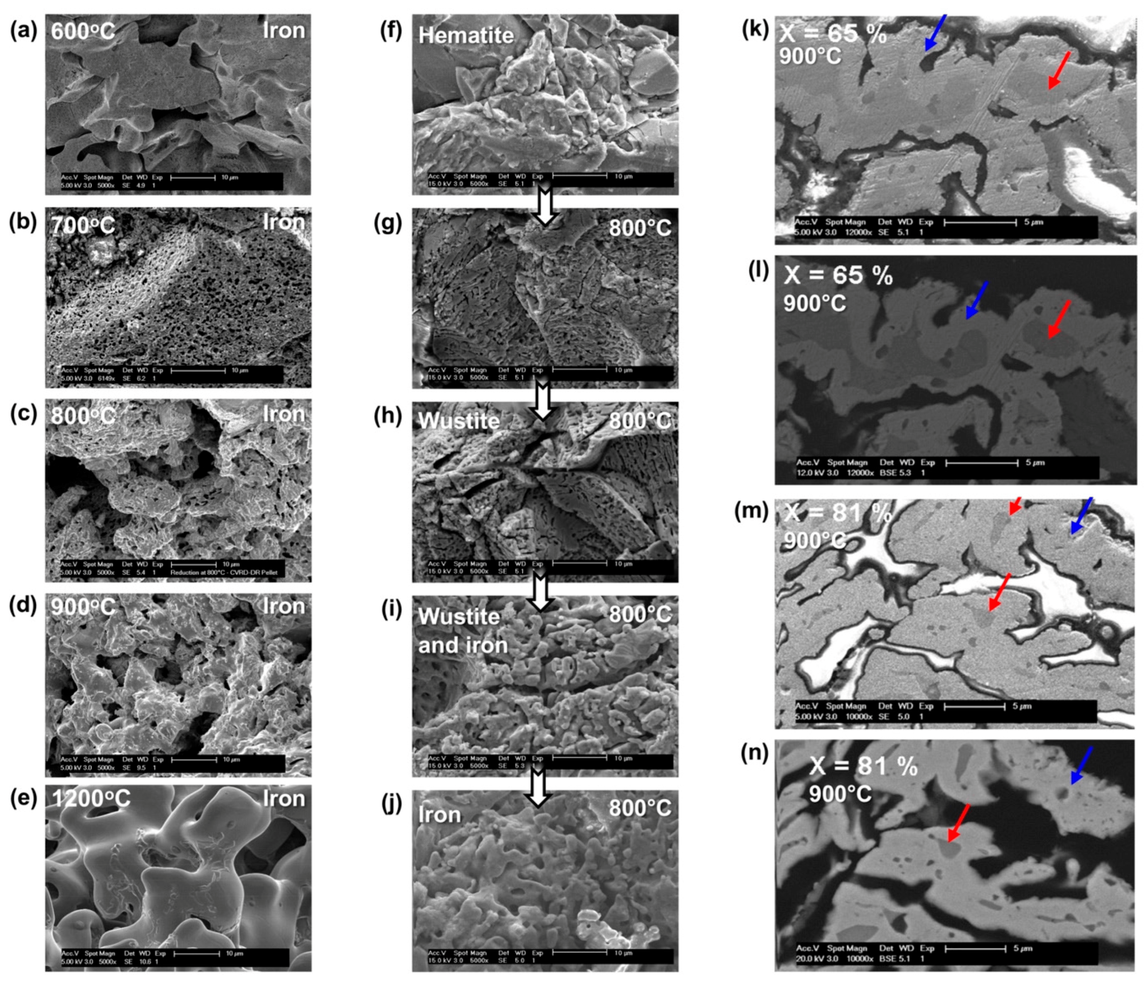 Metals 14 00589 g012