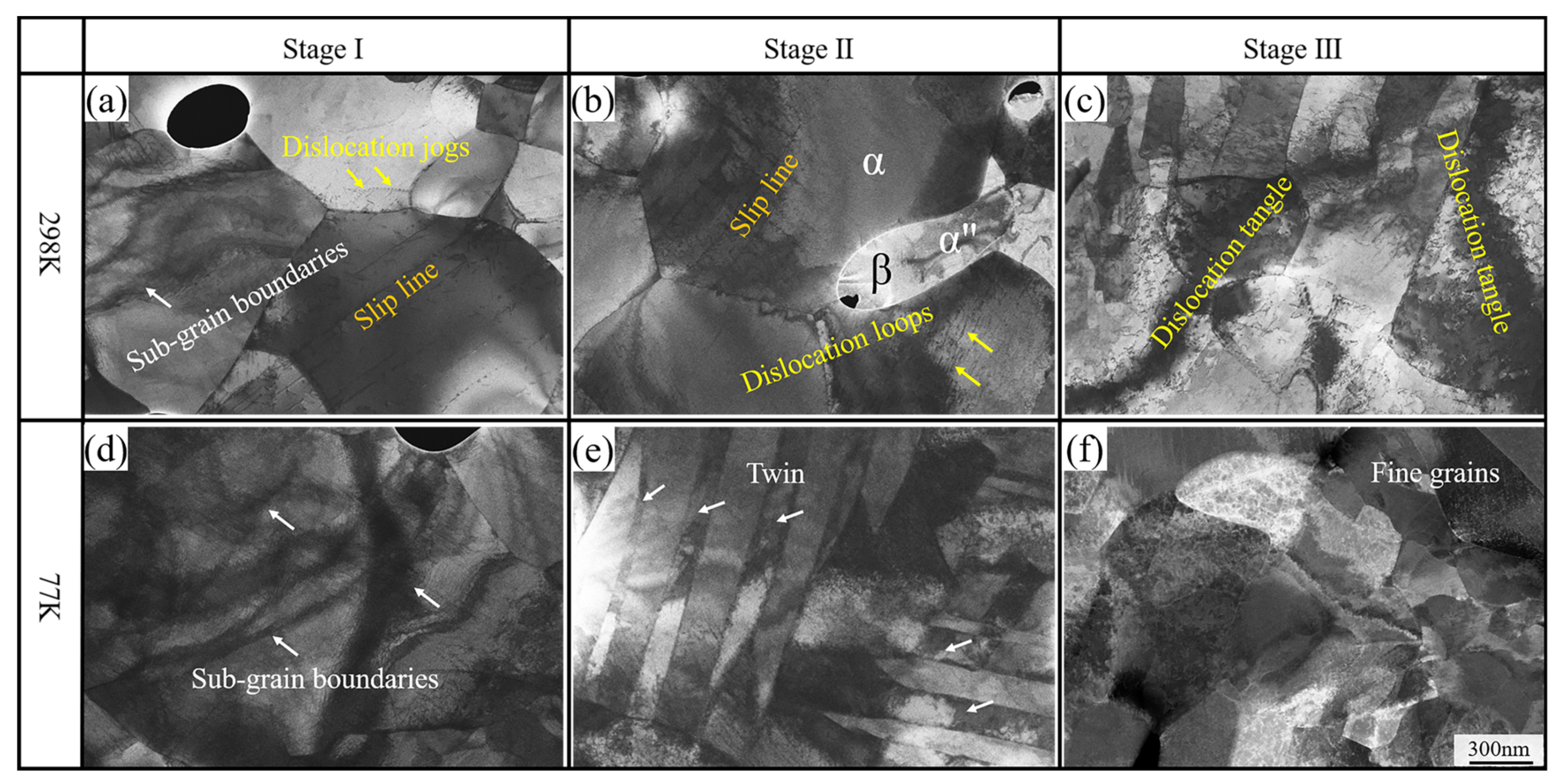 Metals 14 00600 g008