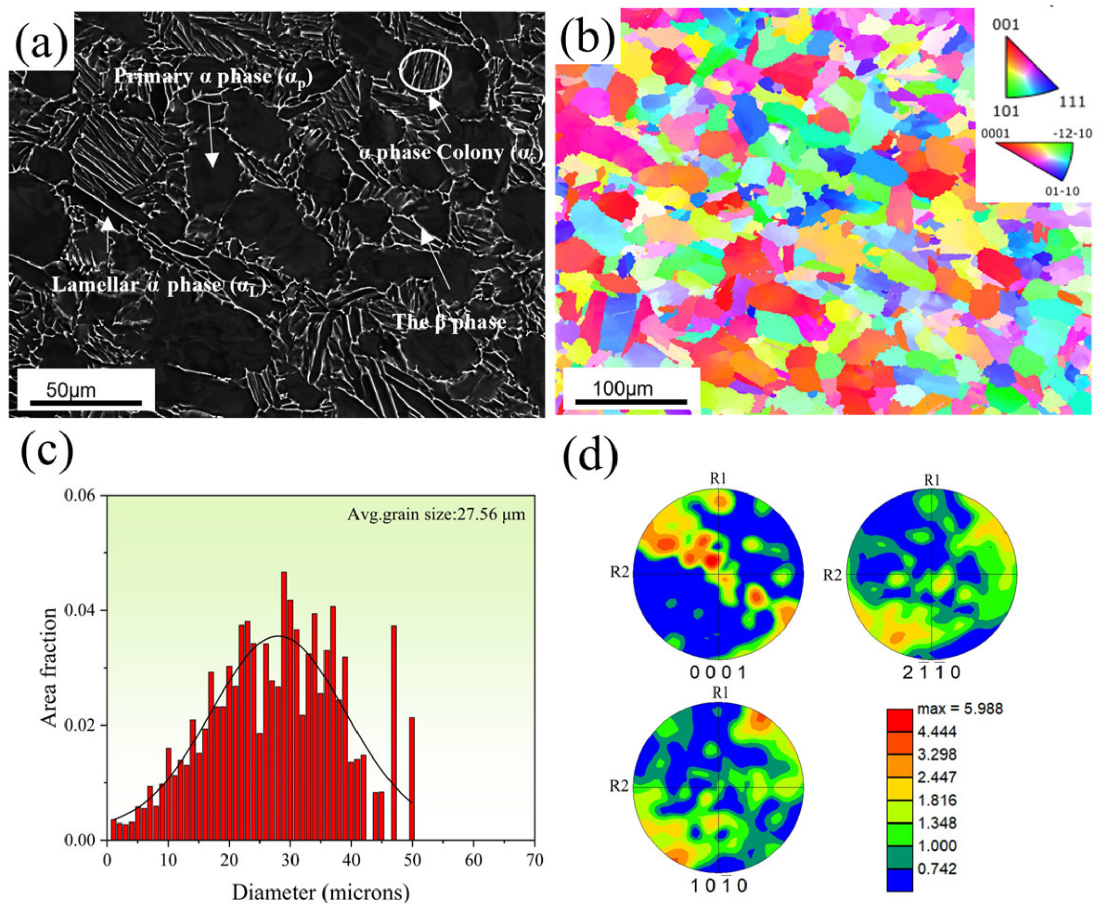 Metals 14 00602 g001
