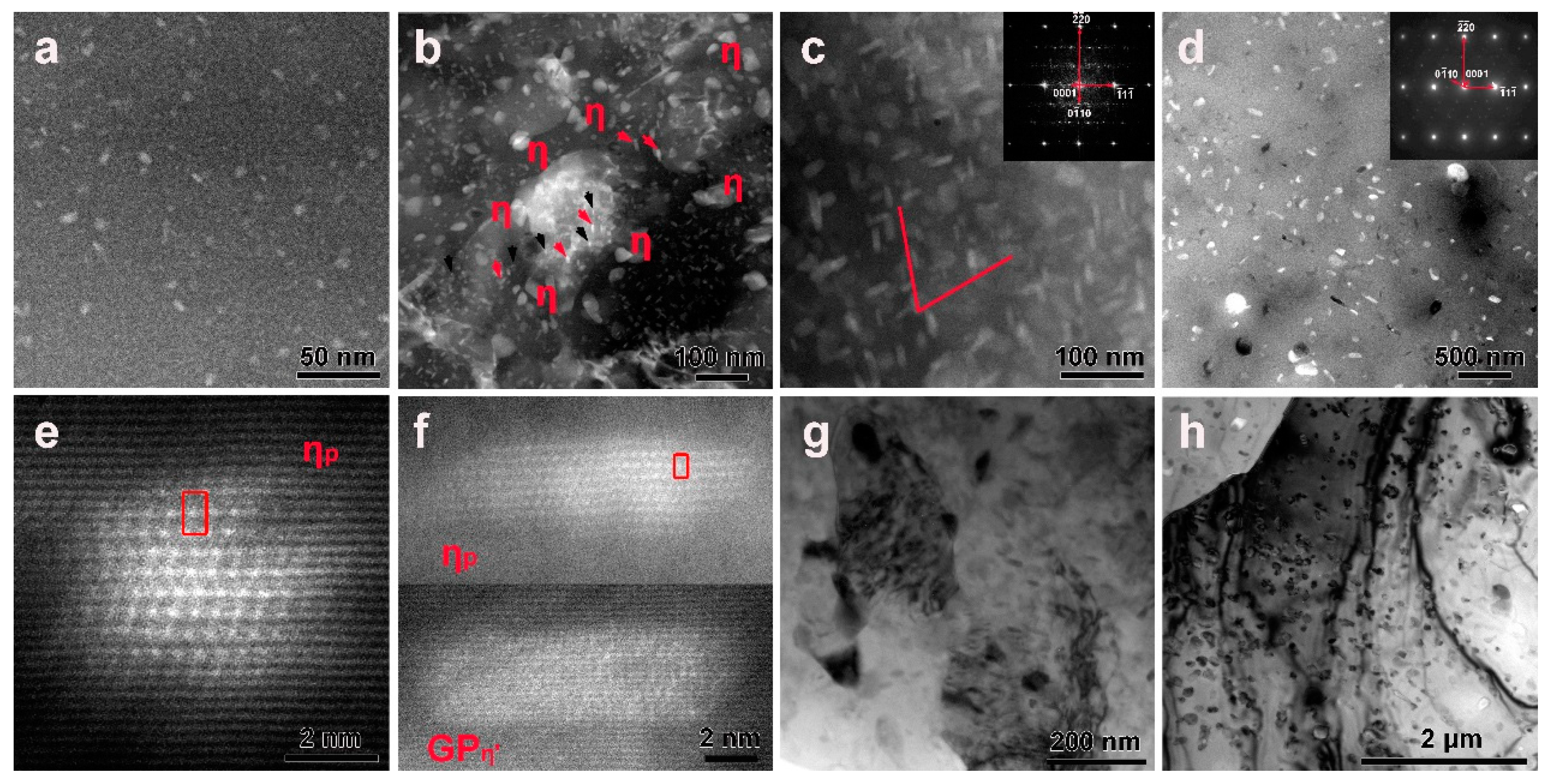 Metals 14 00625 g005
