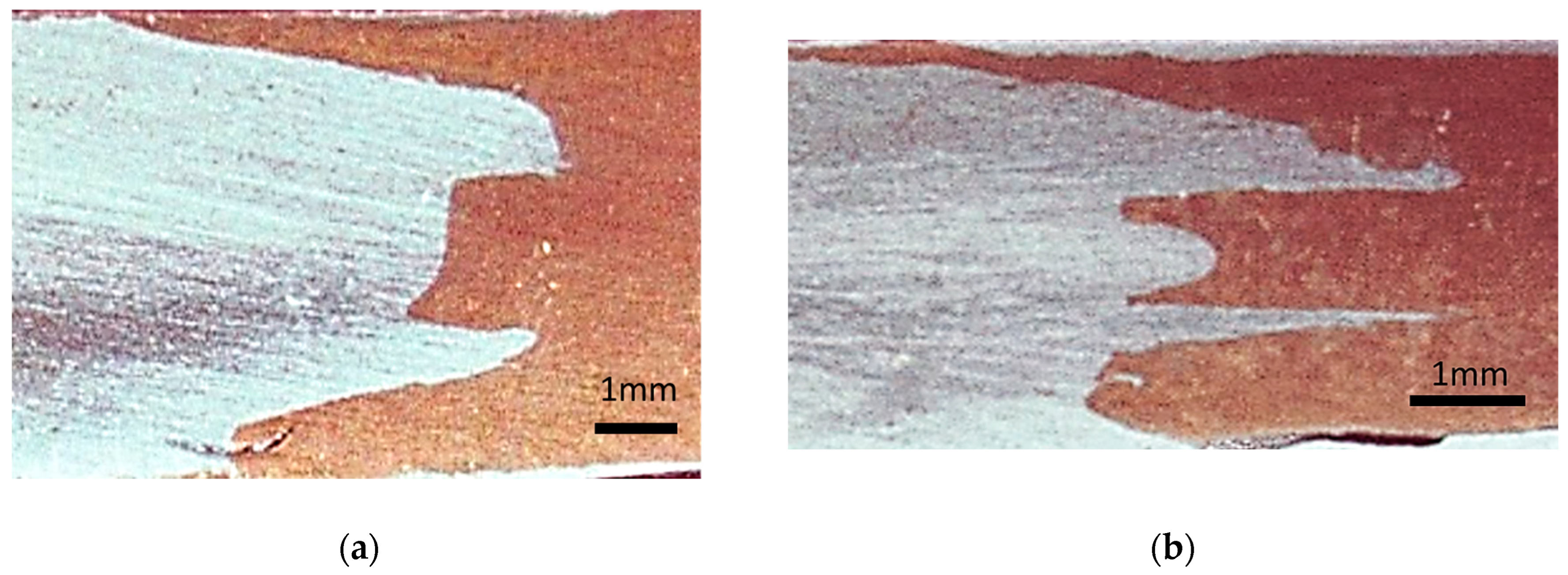 Metals 14 00631 g010