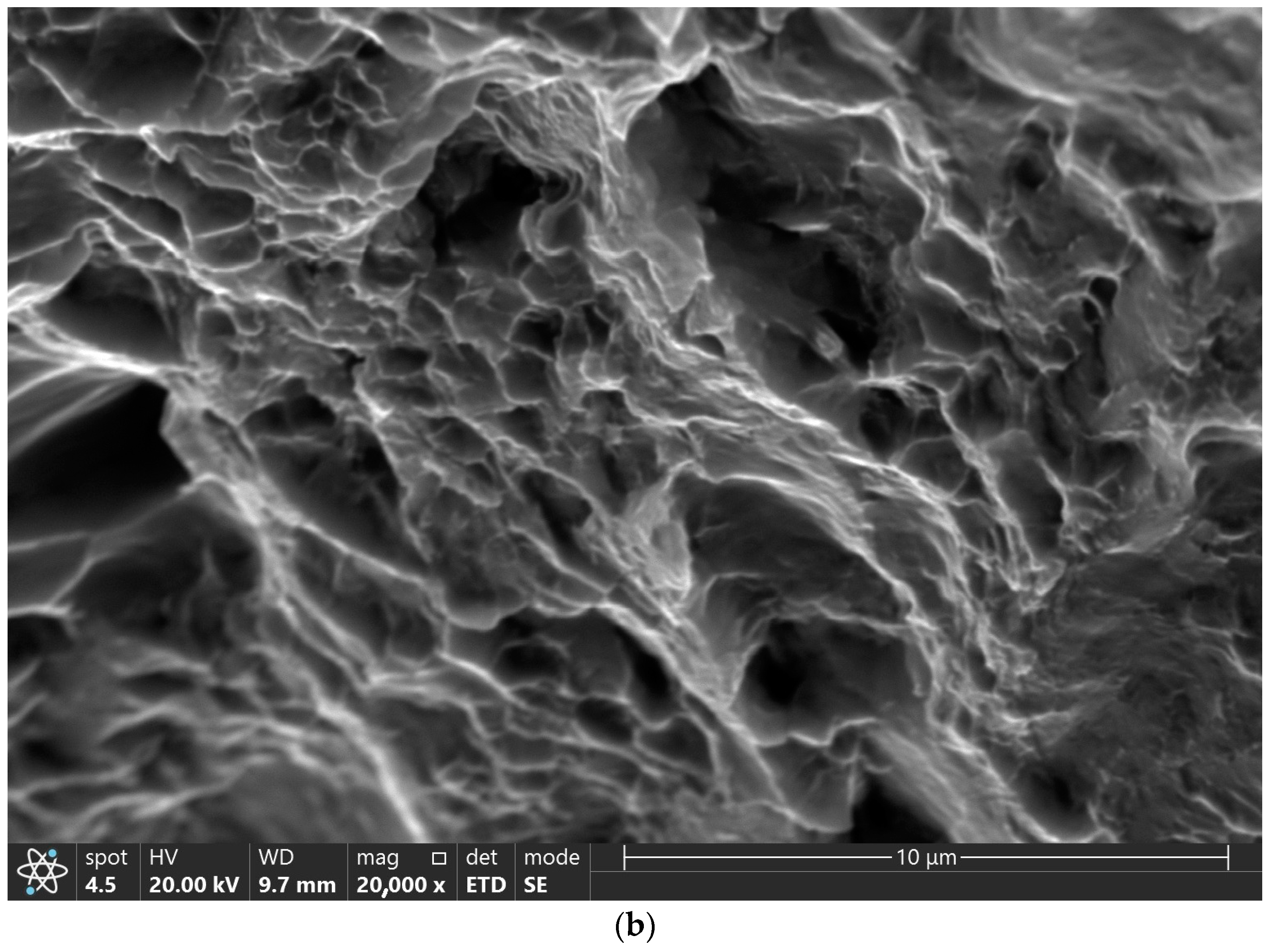 Metals 14 00644 g006b