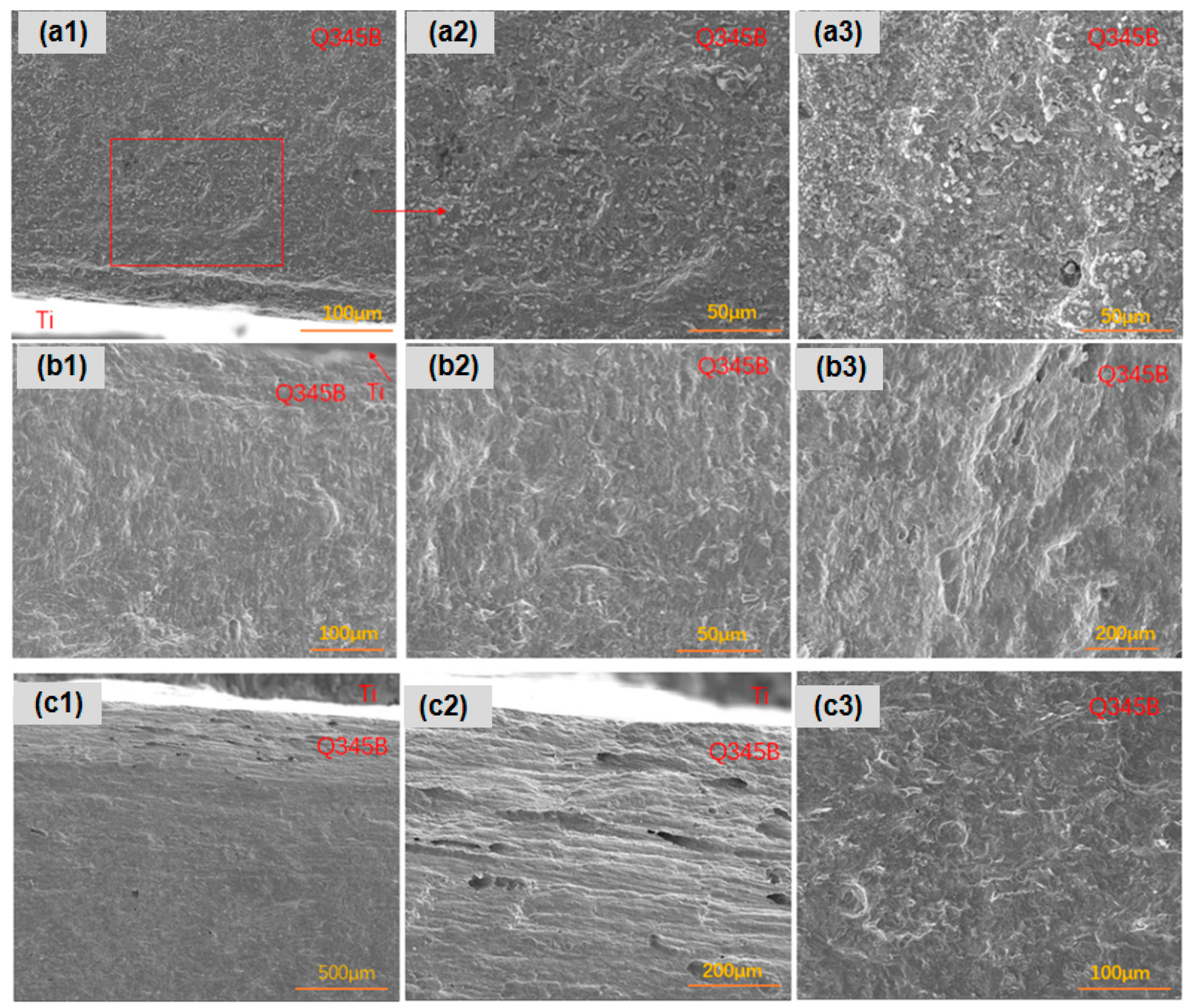 Metals 14 00652 g009