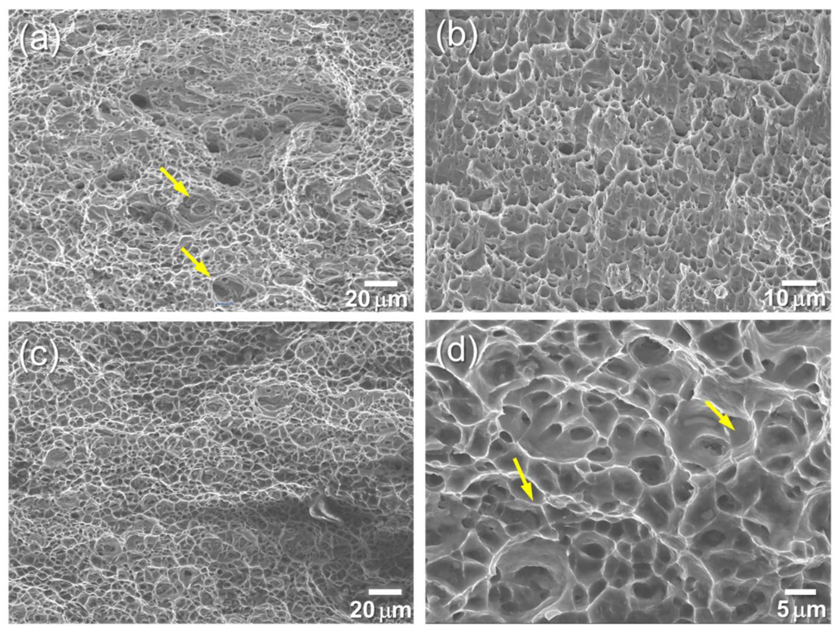 Metals 14 00664 g011