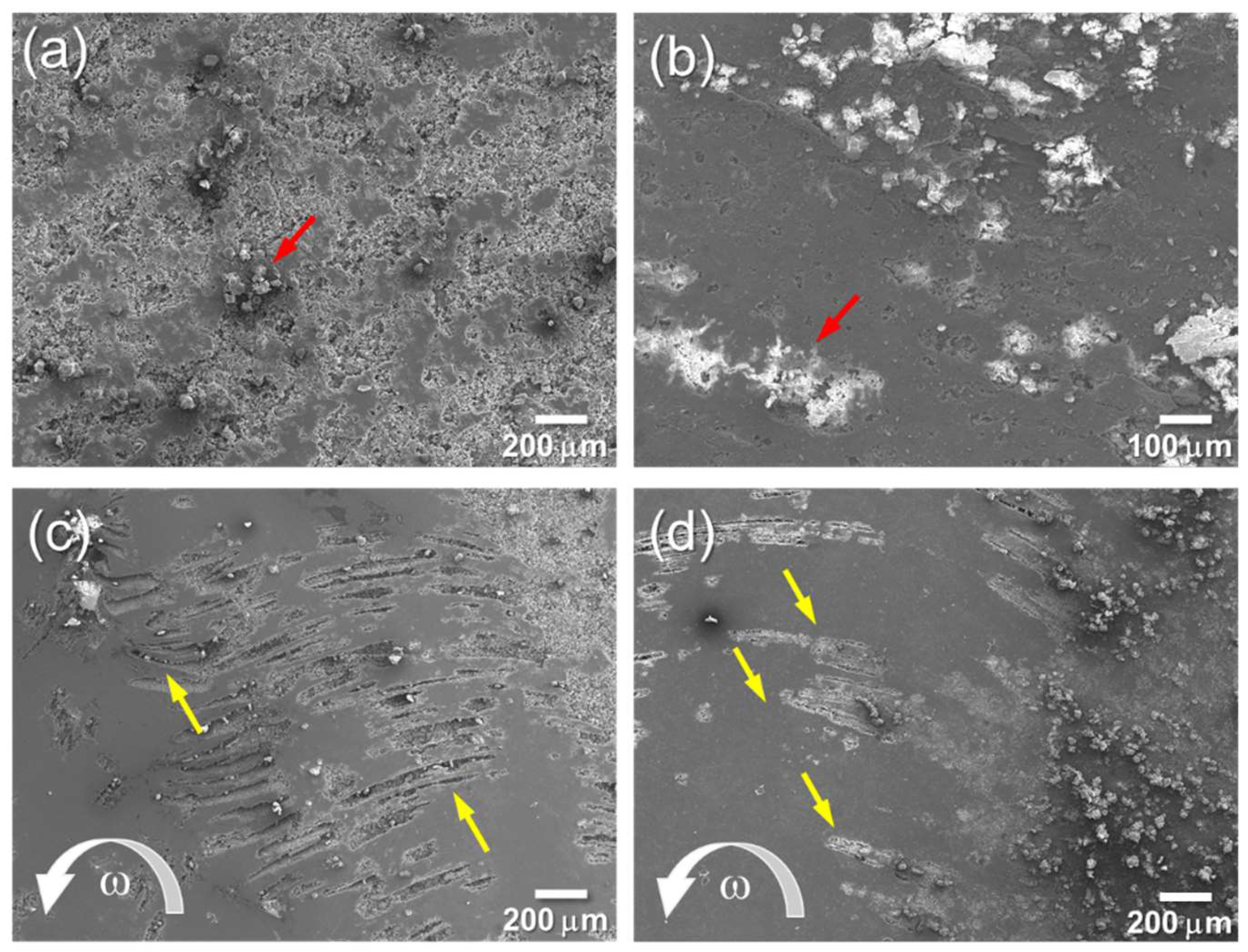 Metals 14 00664 g013